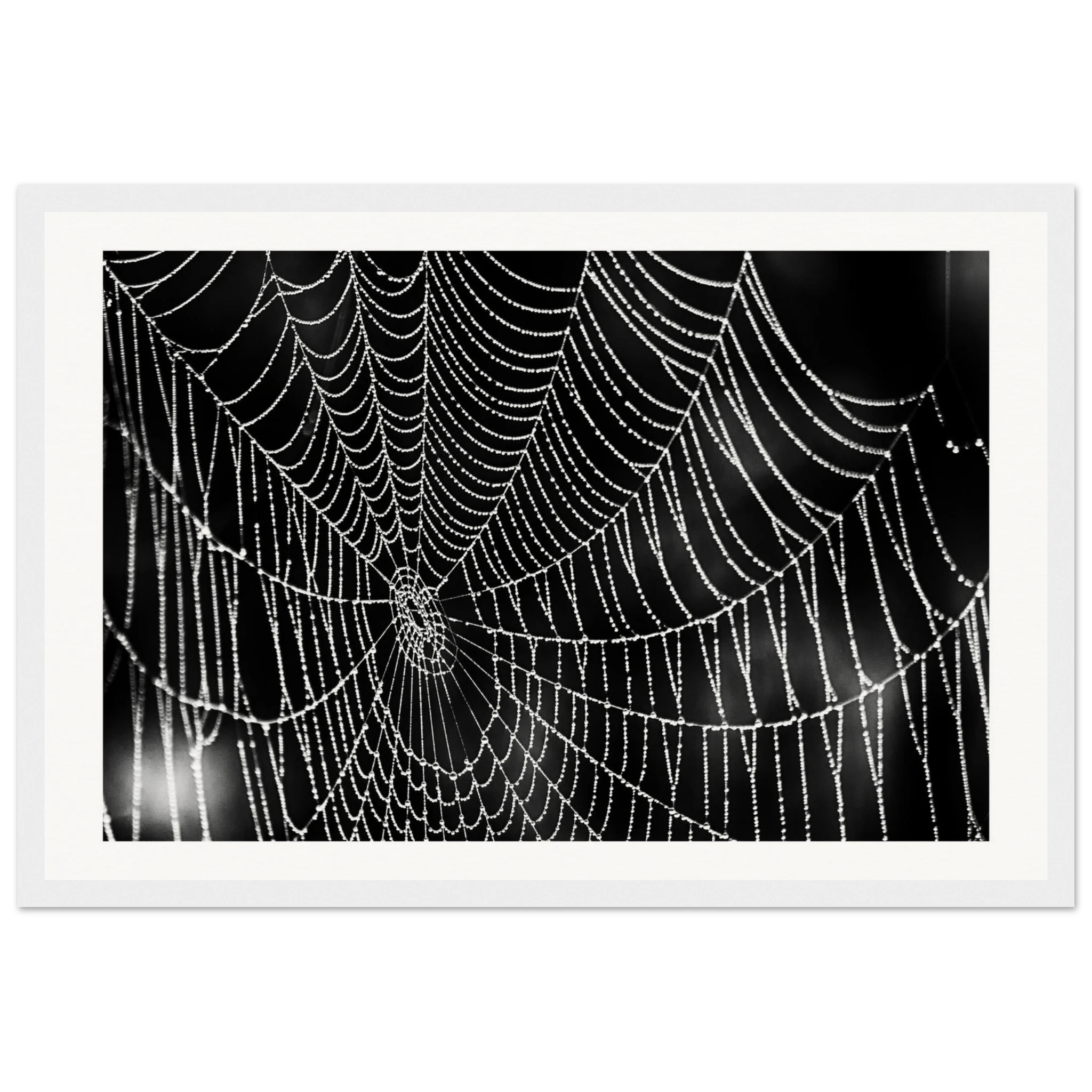 4afc08d8-af21-4c34-acae-10ea7d543072