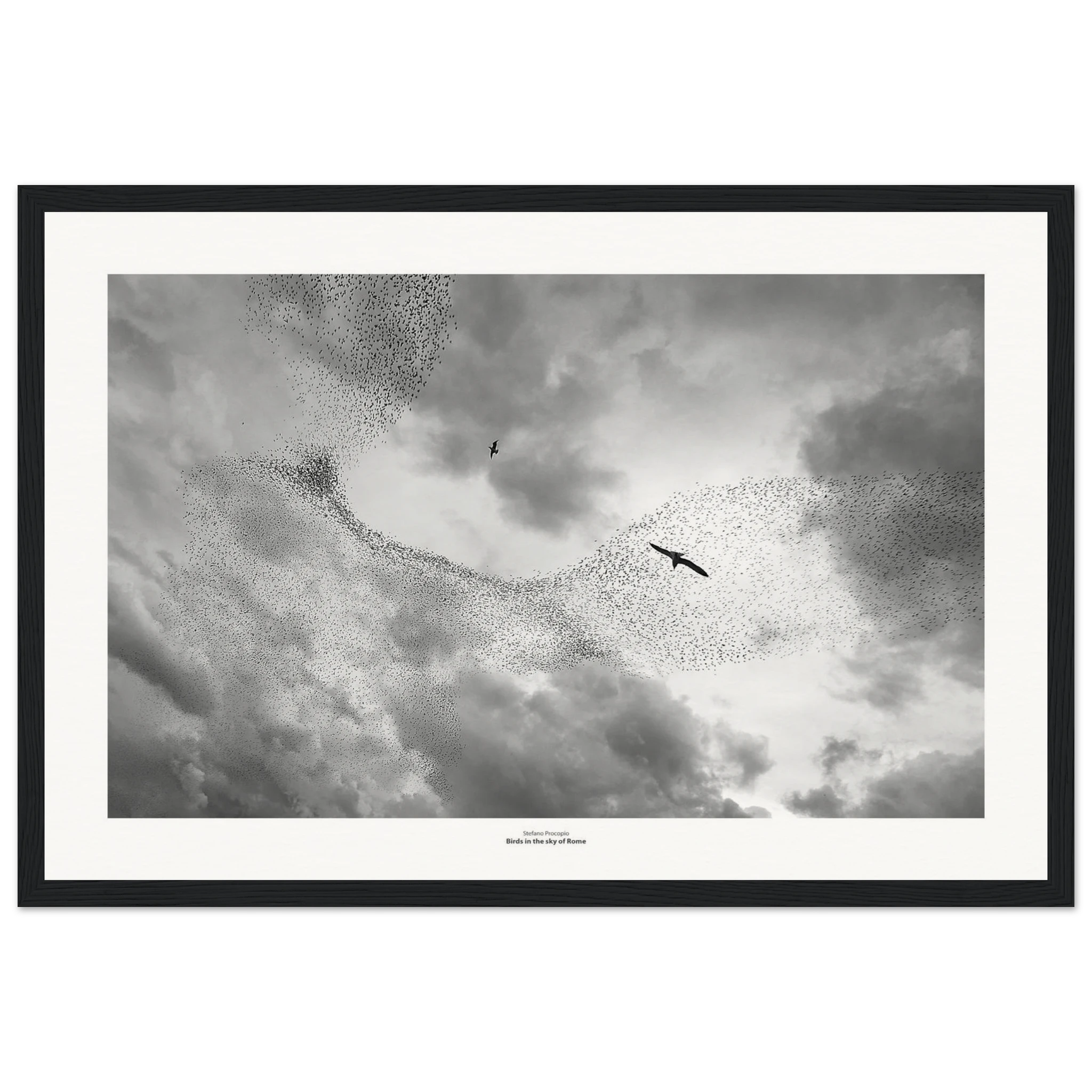 4b68c251-2502-4ad3-90da-e0725baf4254