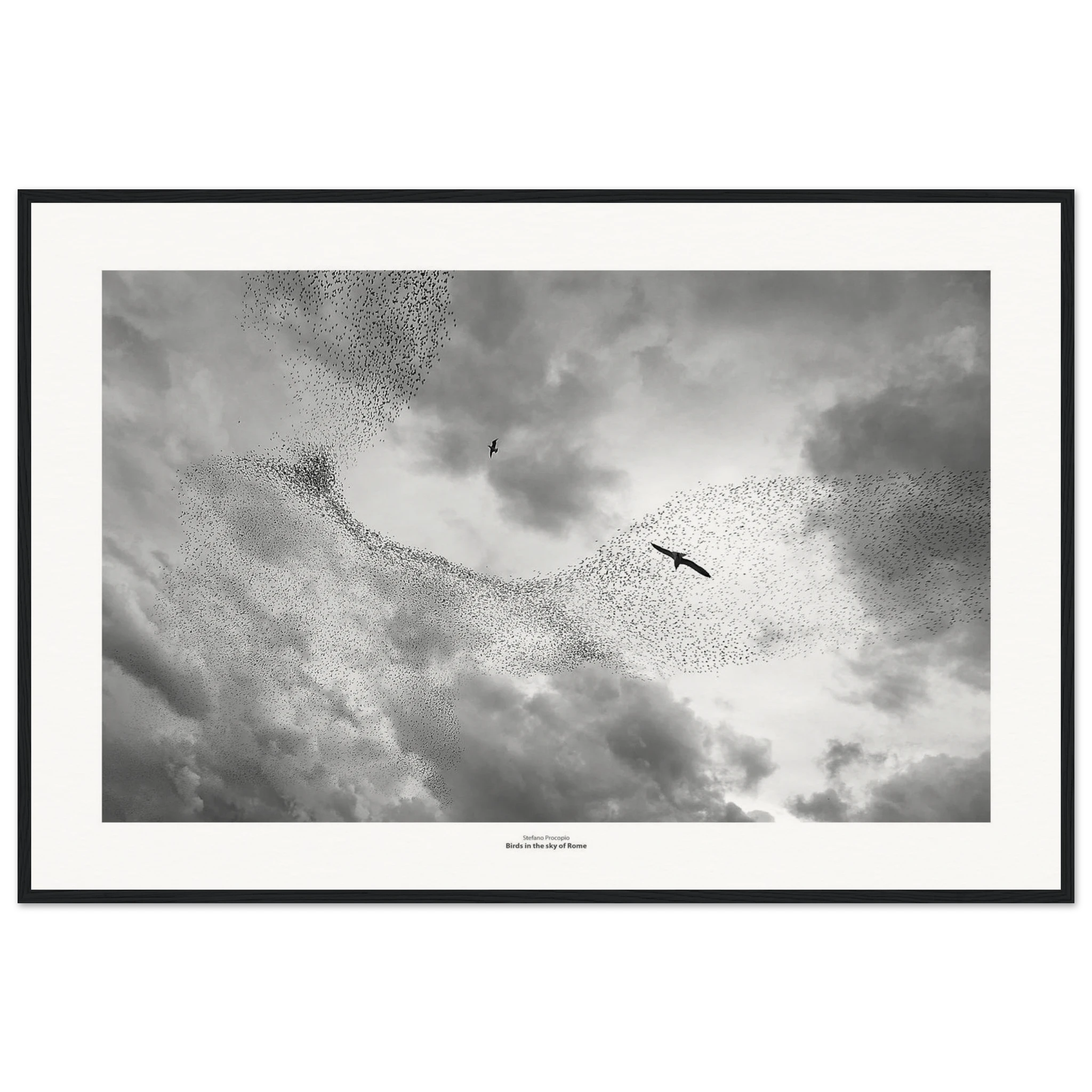 4fbda4fe-52f8-479d-be9f-ad37827664be