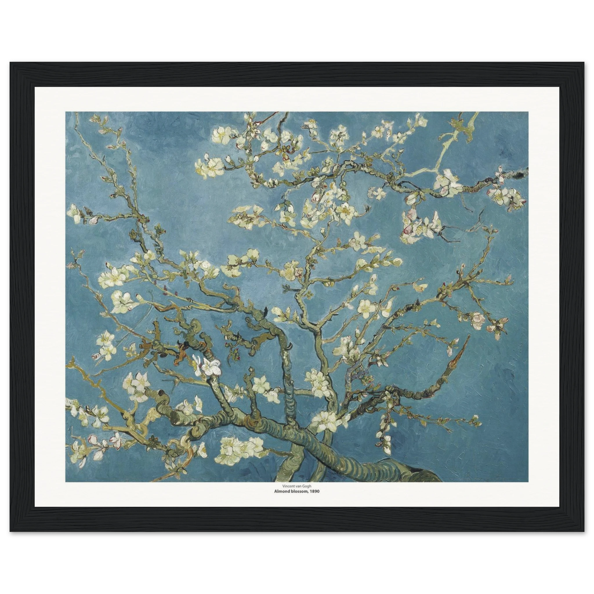 4fddbc0b-ff62-4025-8f92-2188d0bf8986