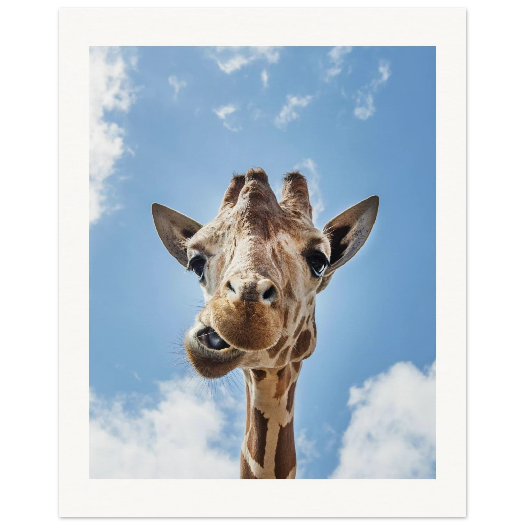 5339c60a-c1da-4550-ab16-f6d7d09054d5