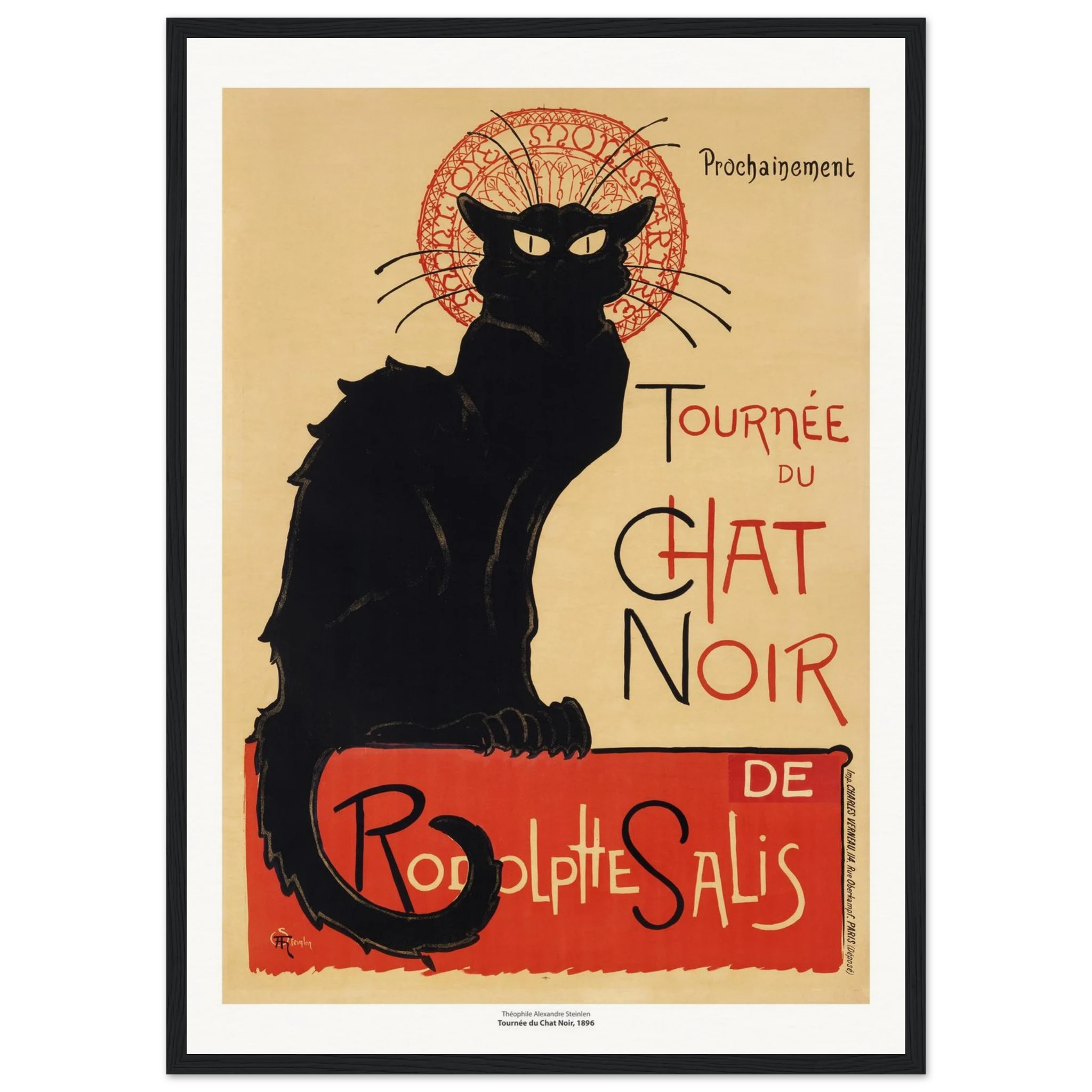 5350bbcf-558c-485d-88b8-be10b68d882c