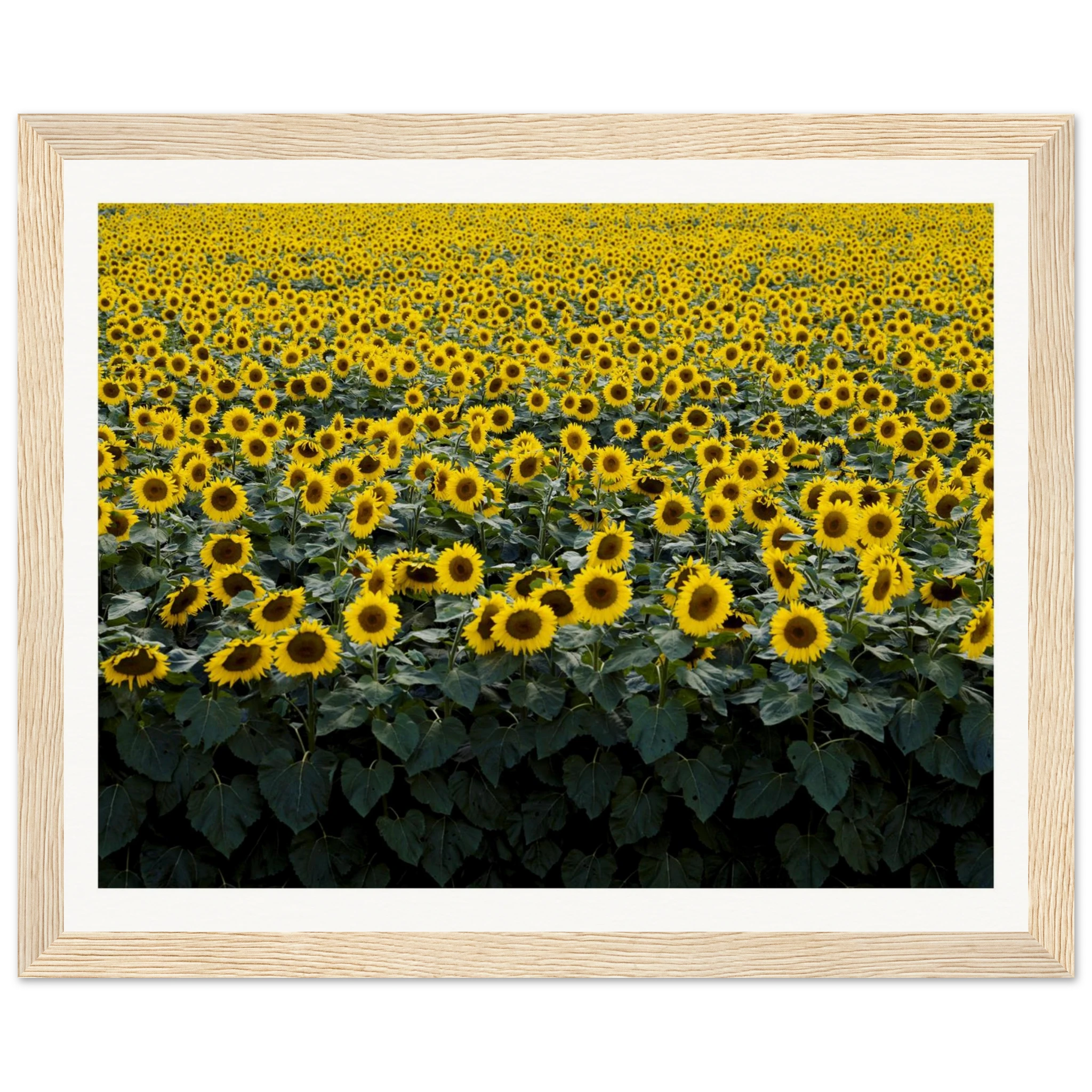 562be451-ae4e-4820-ae08-4a93a30b9a6d