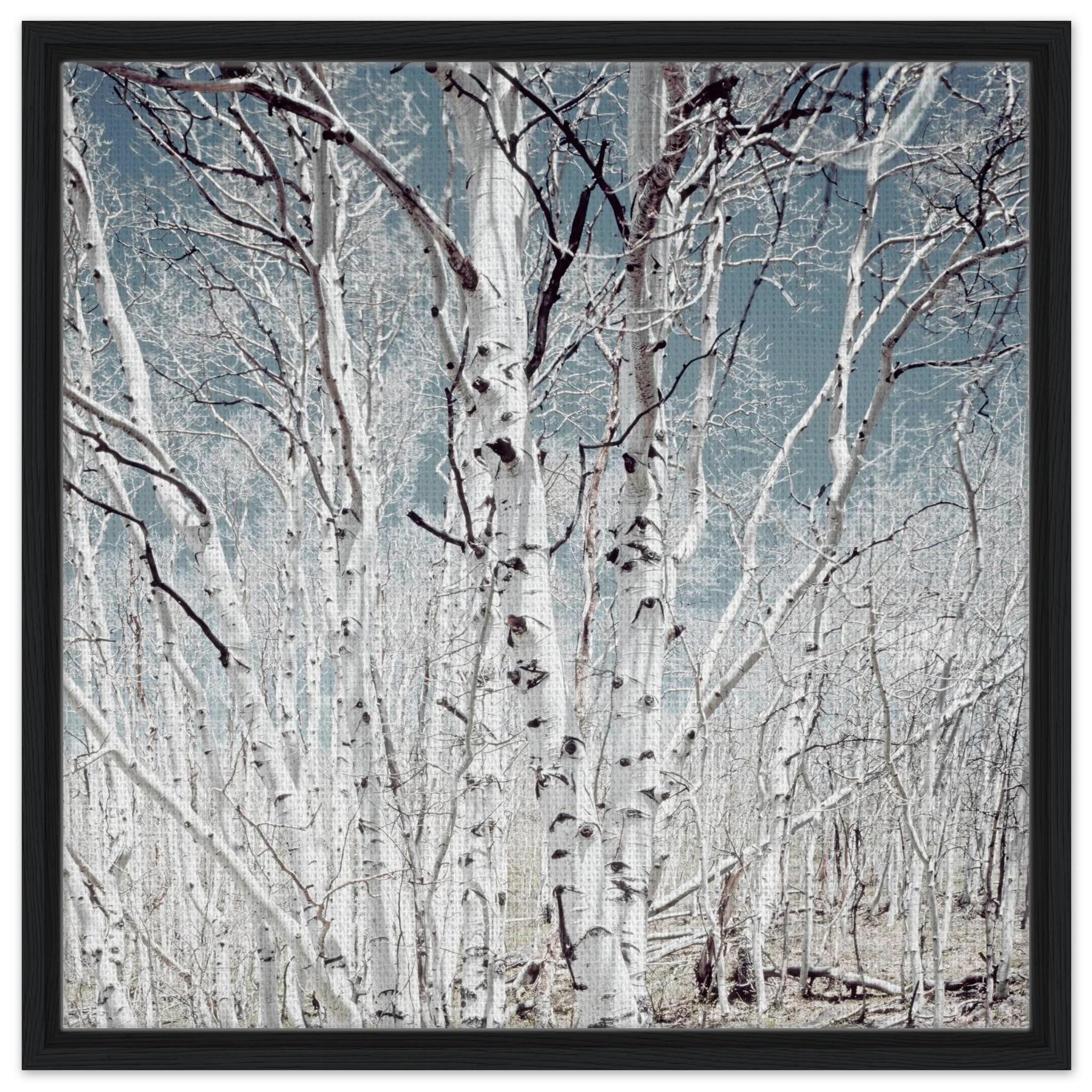 58a93475-a55f-49f8-a8b7-7a7287590f60