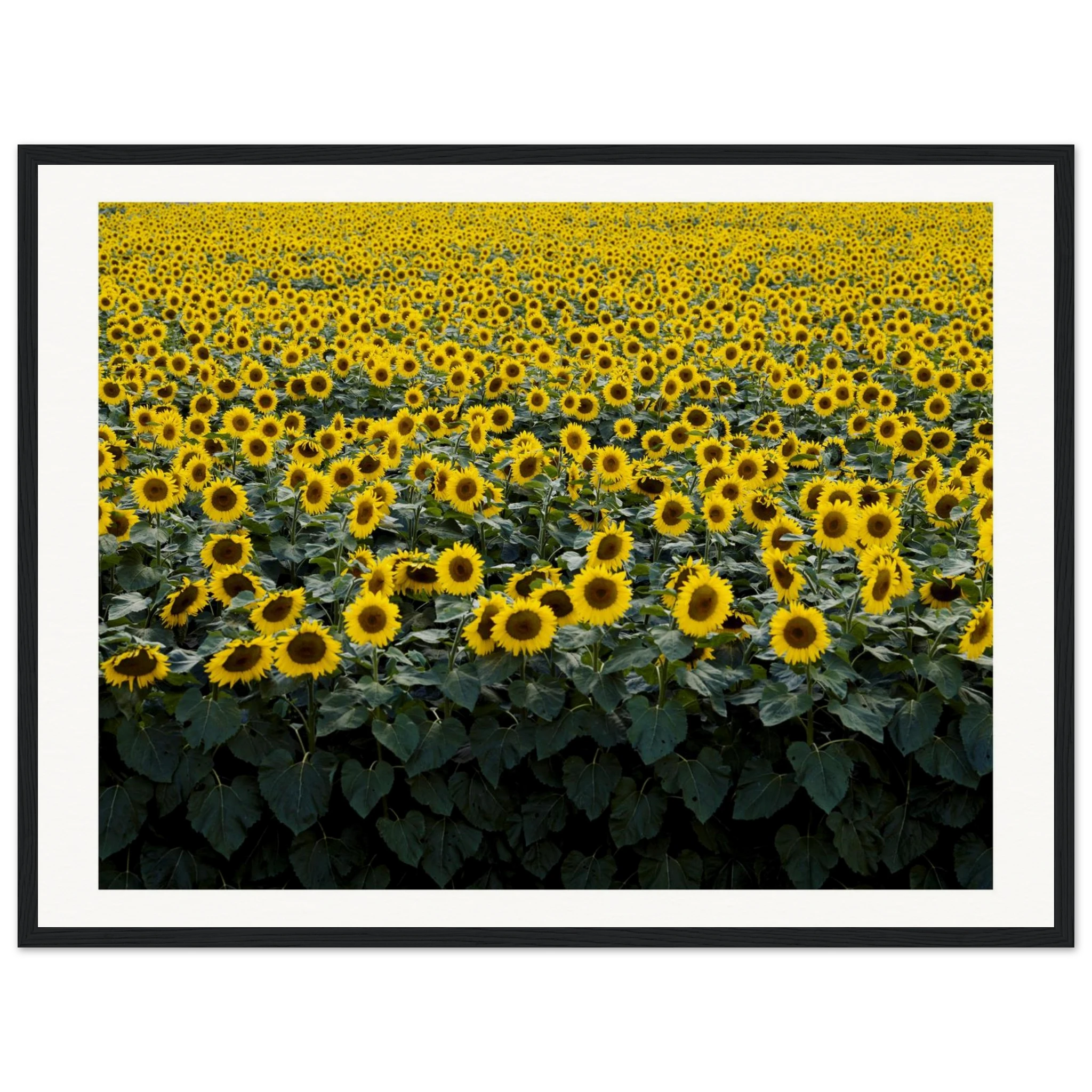 59769dff-36d1-4254-9232-24a975d0b575