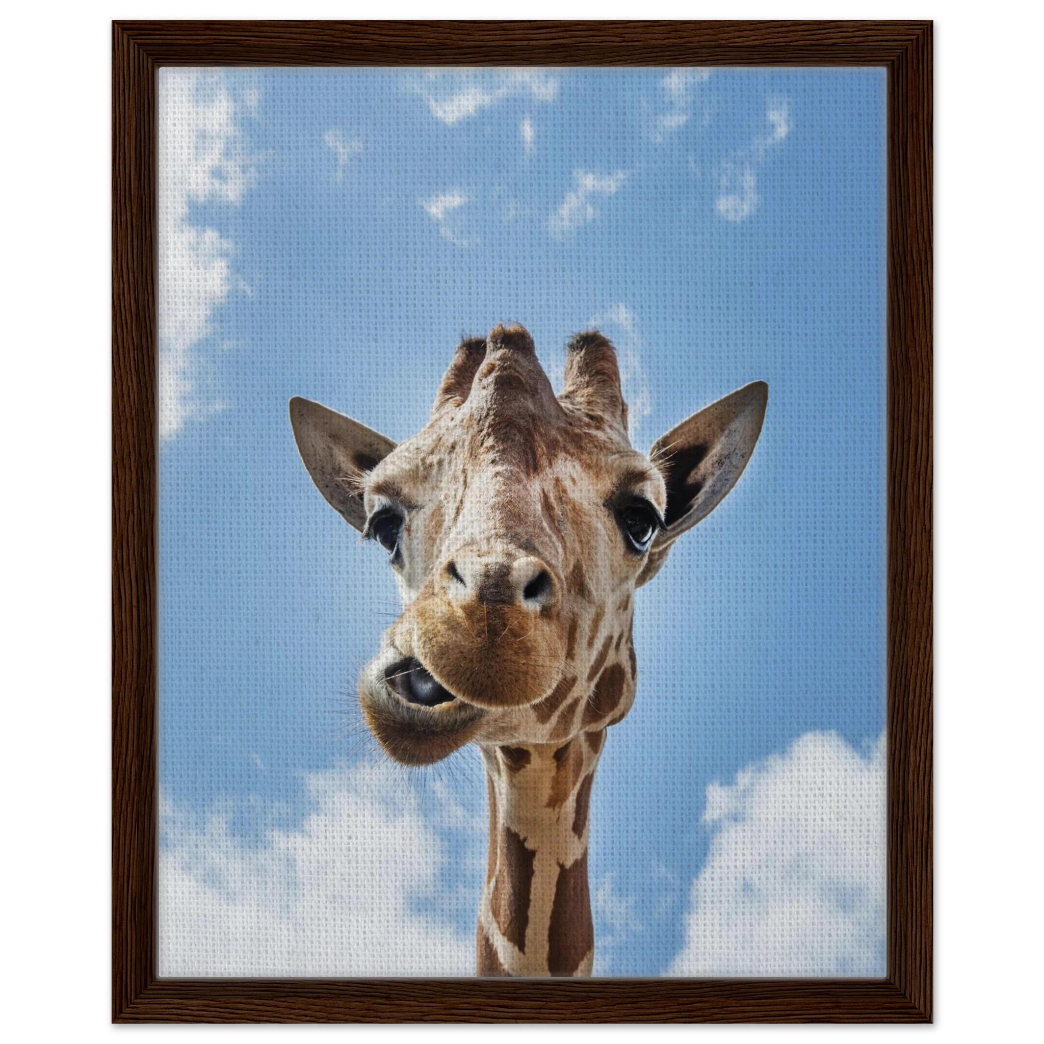 5a6ec285-3988-43b4-8079-29873db76a9d