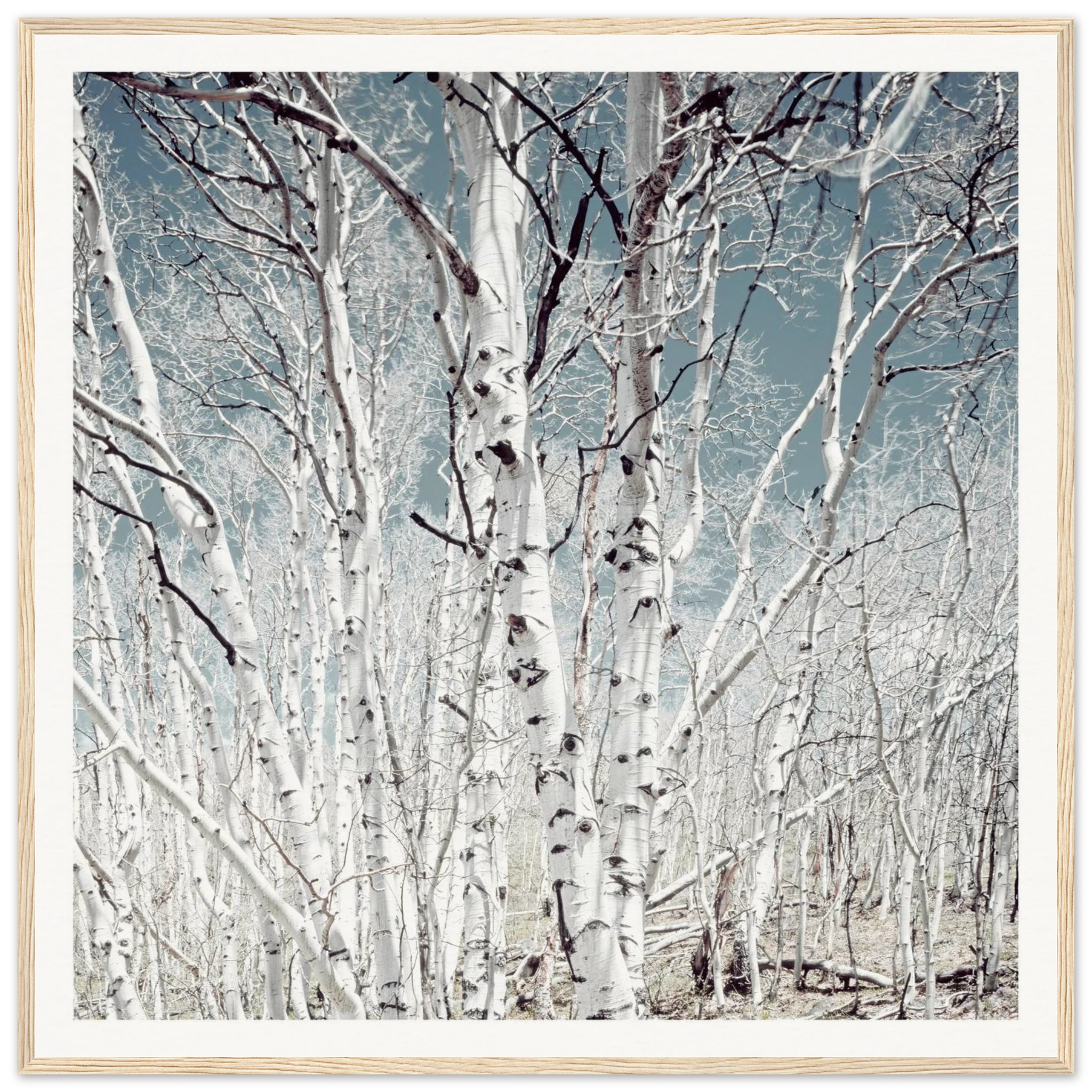 5cef6790-b2b0-4a98-b274-afc48b6e185c