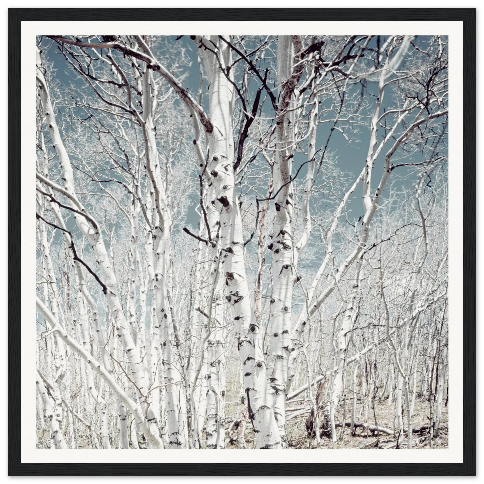 5d64ef76-9e79-4d13-bc3e-a3eac316c0e0