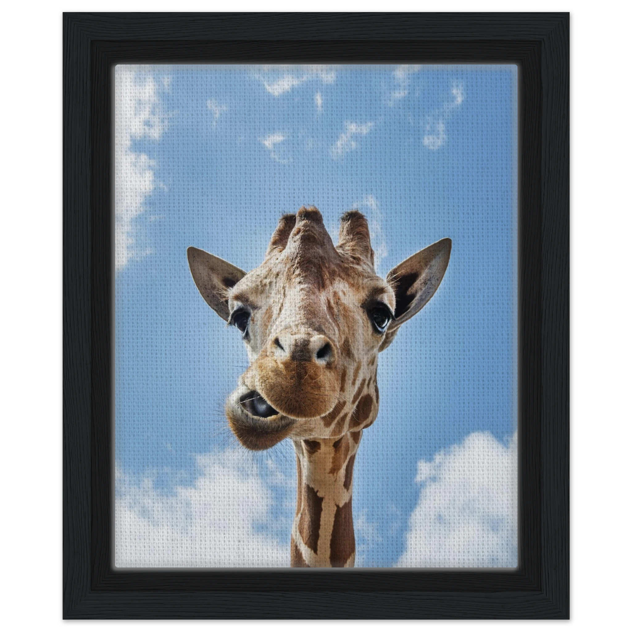 5ed293c7-ce75-4fdd-9fe4-6210caa5863c