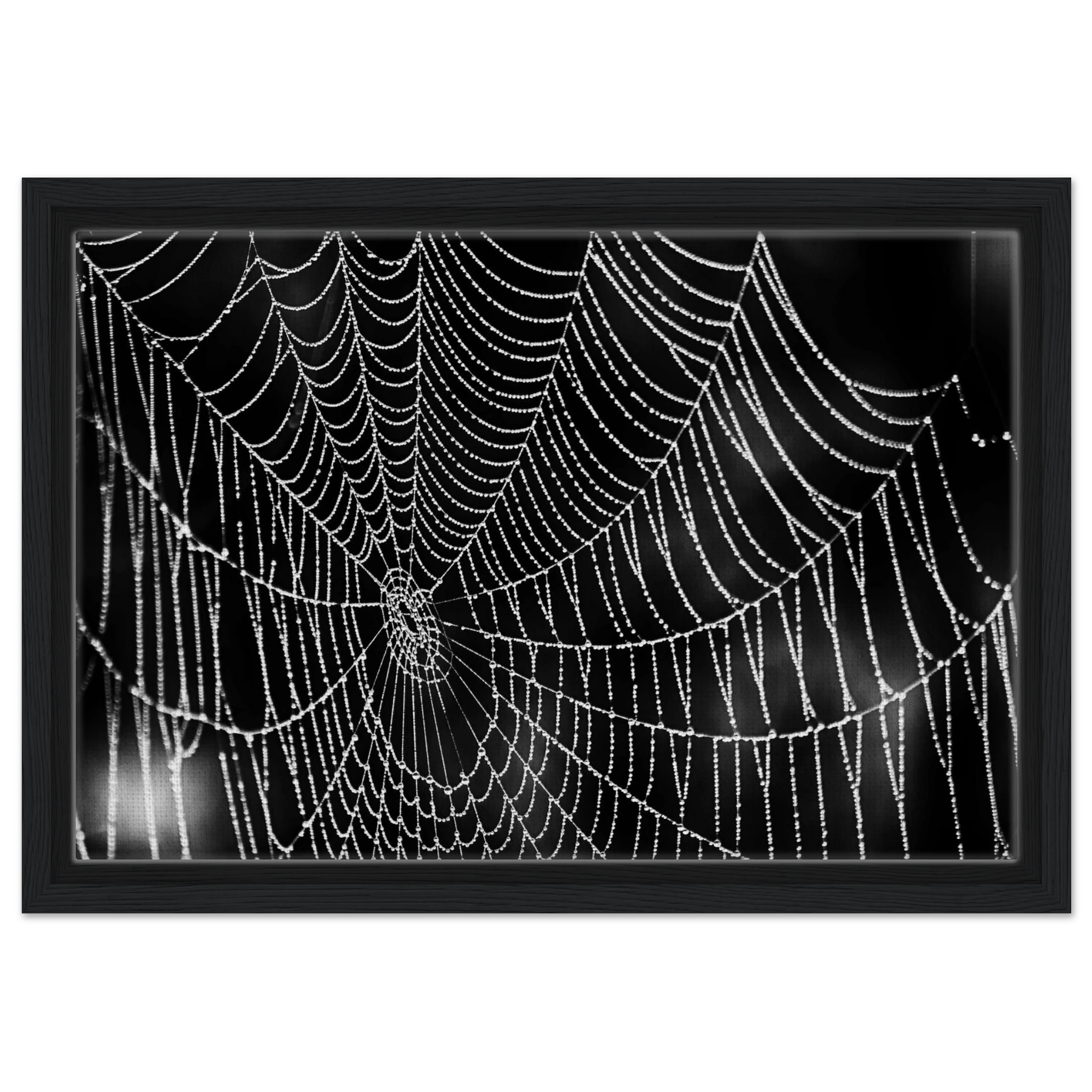 5f7cba67-7d1f-4ee8-a0ea-97568e14a694