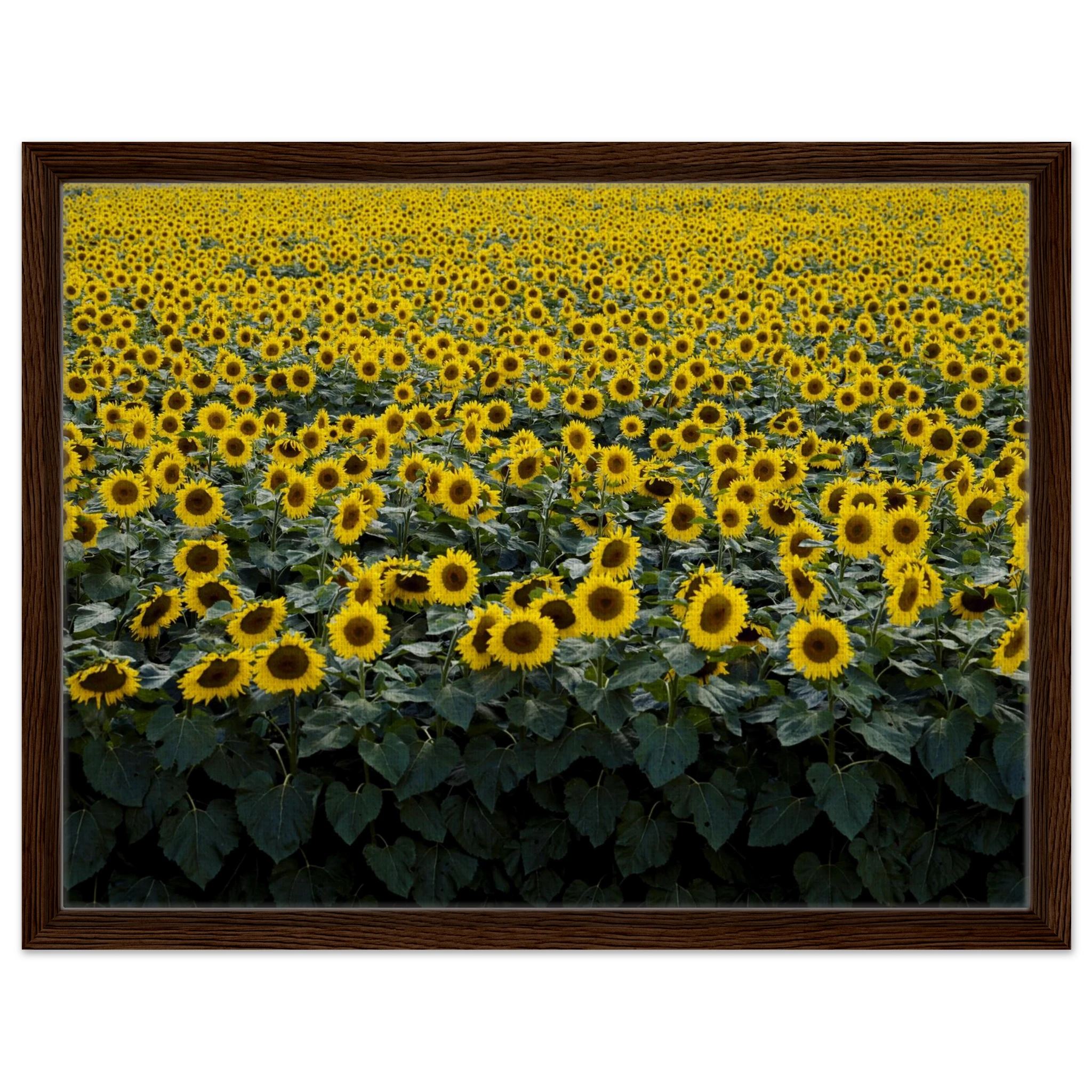 5fde11c7-b3e9-47f4-a49b-c69112775958