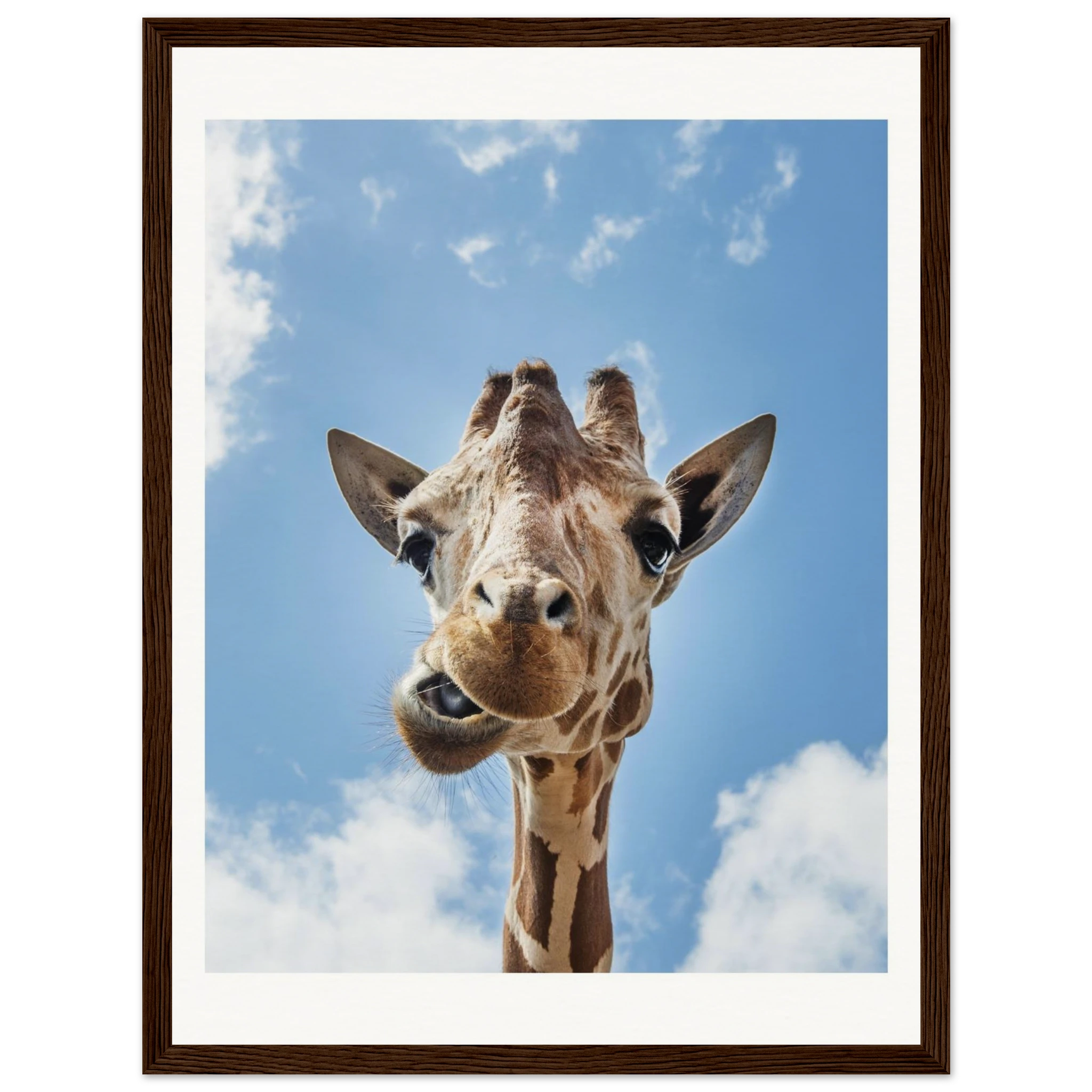 6068f8ac-fa90-4ed5-b30c-8e03e2343ac2