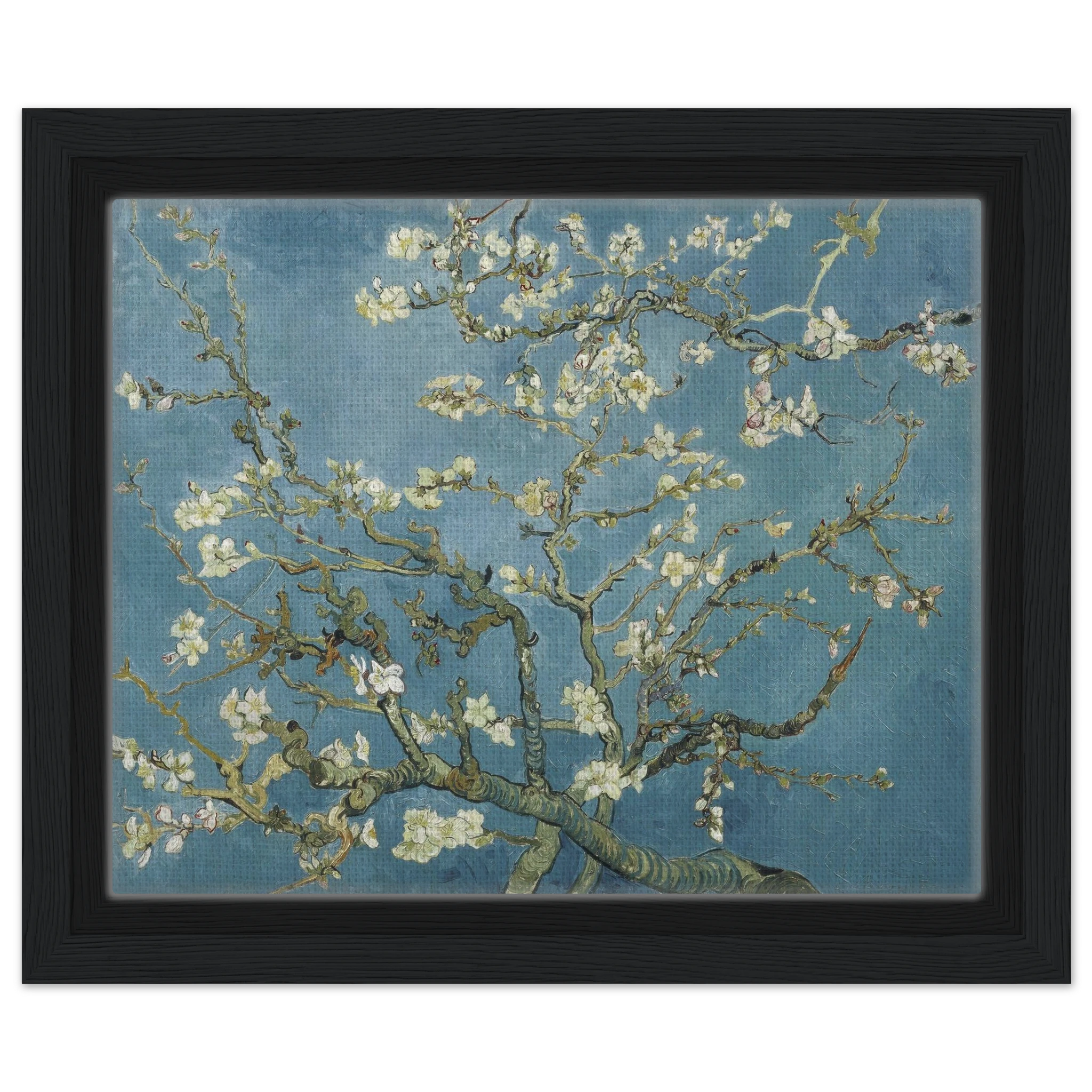 6437e74a-149c-4aa6-bc8f-5c43fc084bce