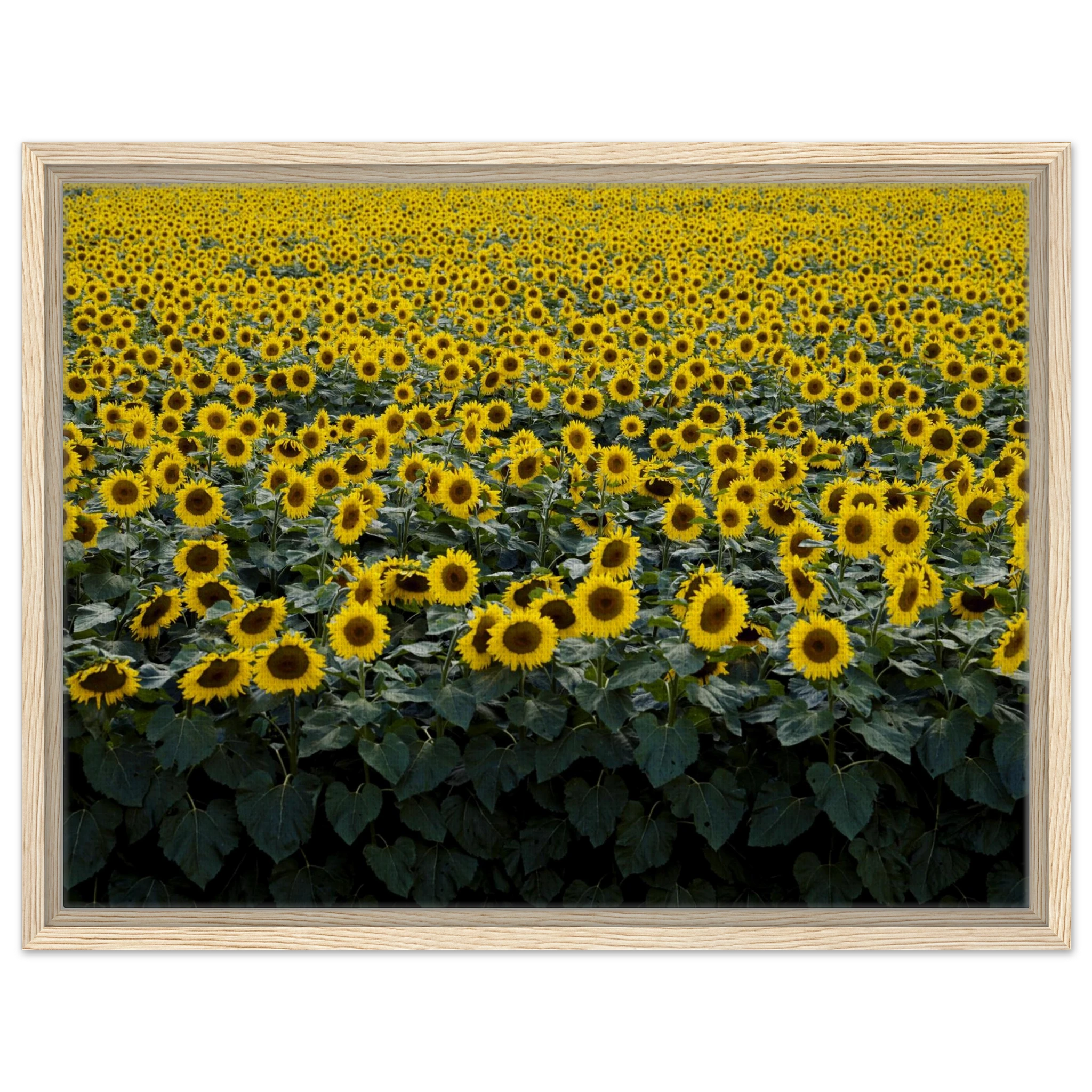 6550a2c2-bf16-4cd2-a128-9757b8e78f70