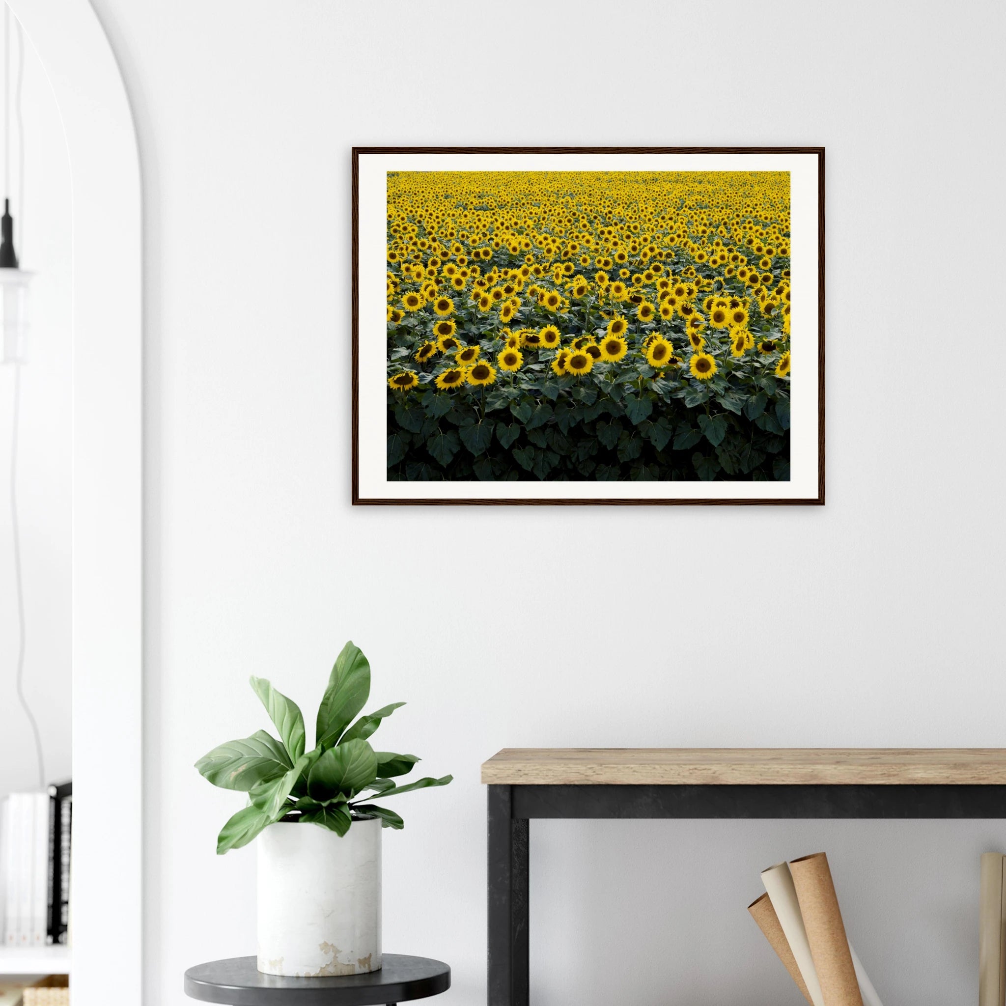 65d45ee5-6610-40f0-aed7-9ed785c536f8