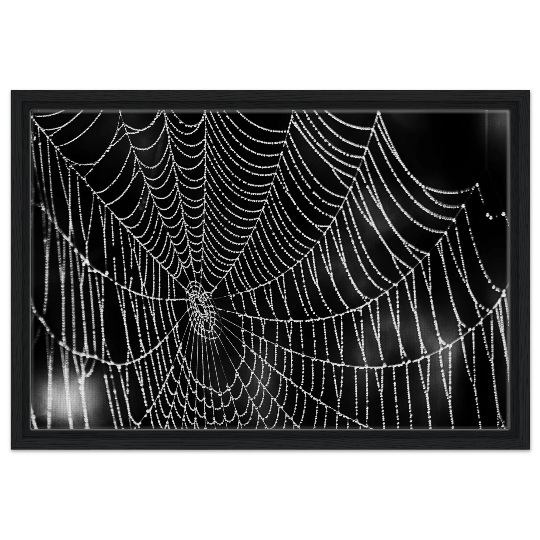 69cc0555-4e48-48f4-9531-44fc1865ec97