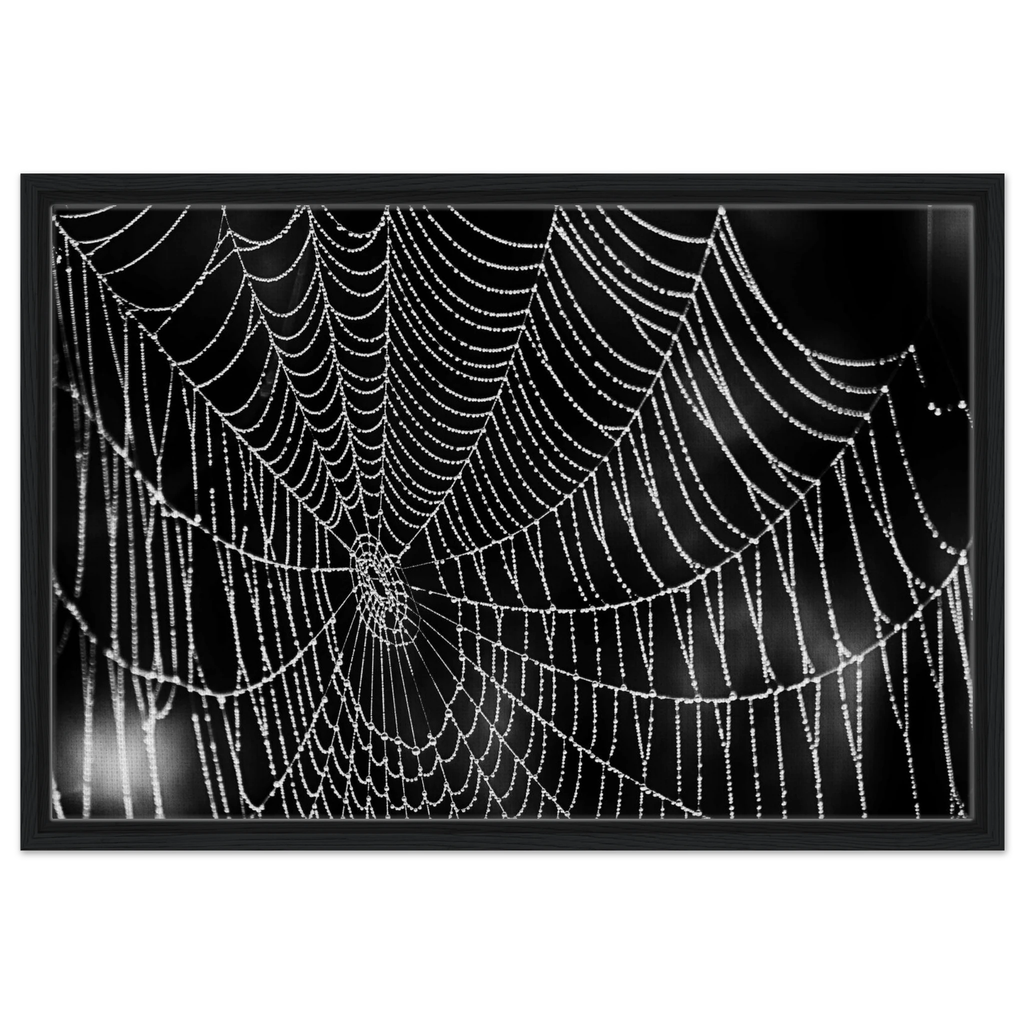 6df35555-4a0a-4b05-9863-9e8a0ba07f5f