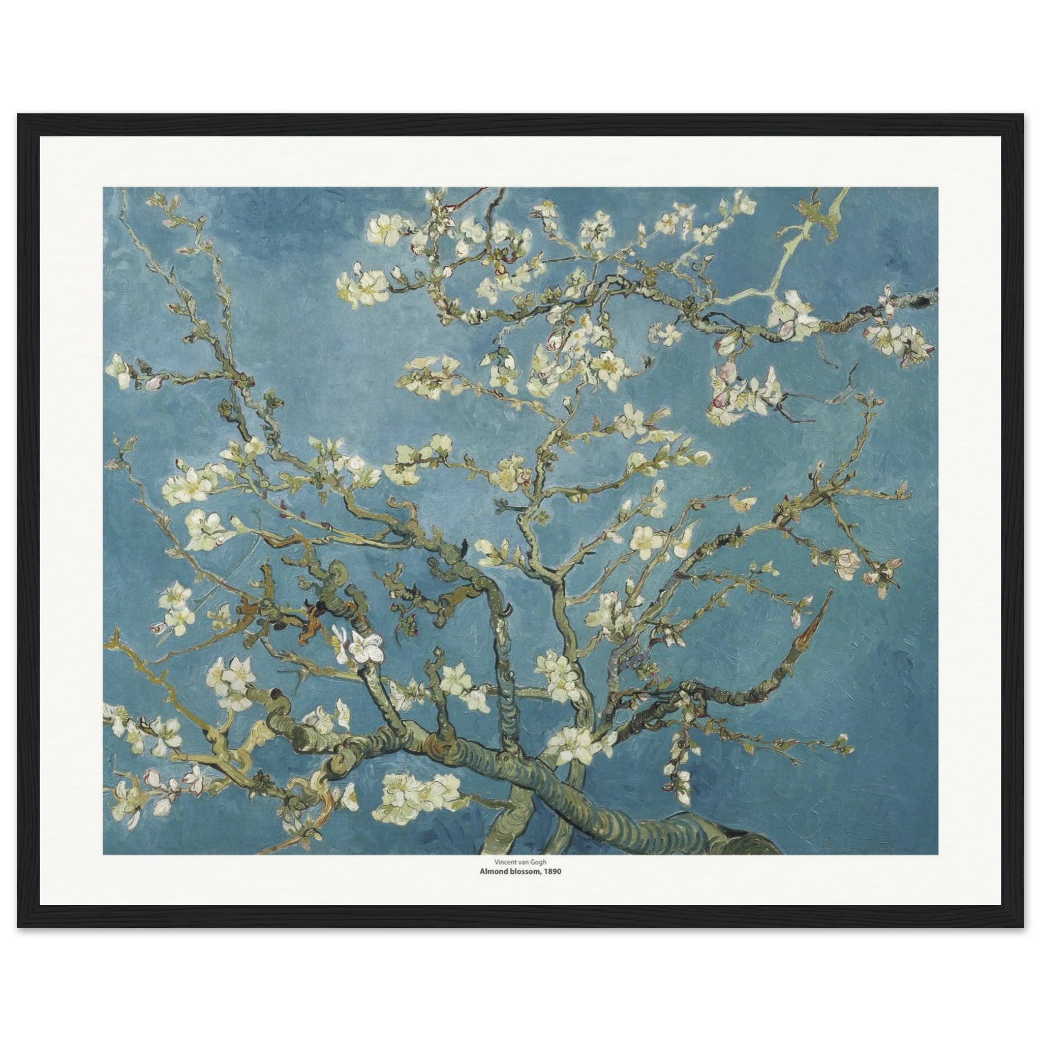 6e6ce7a8-4d5e-4abe-a927-b46396cb8cd9