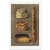 6ed88d2d-edb4-4cf8-8070-e1dc71fe524c