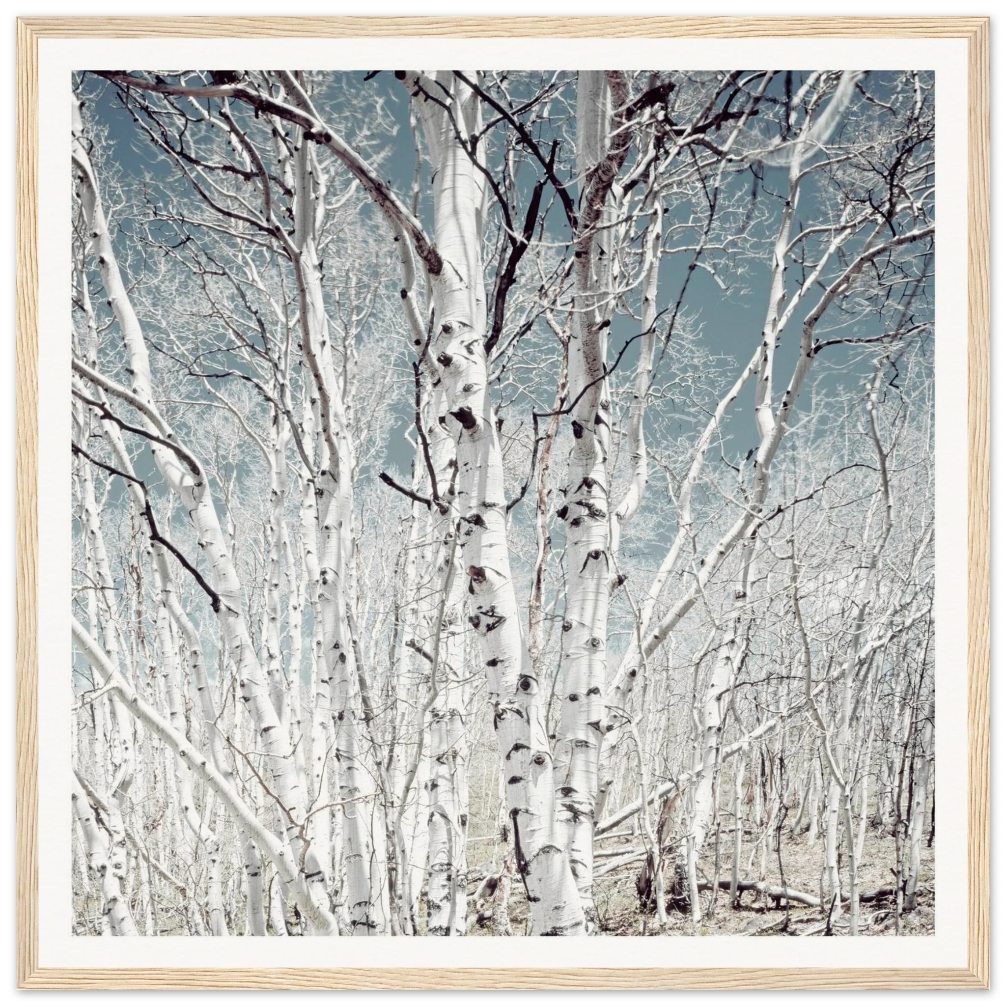 6f200bf8-7283-4613-92d5-e4dfb6a74518