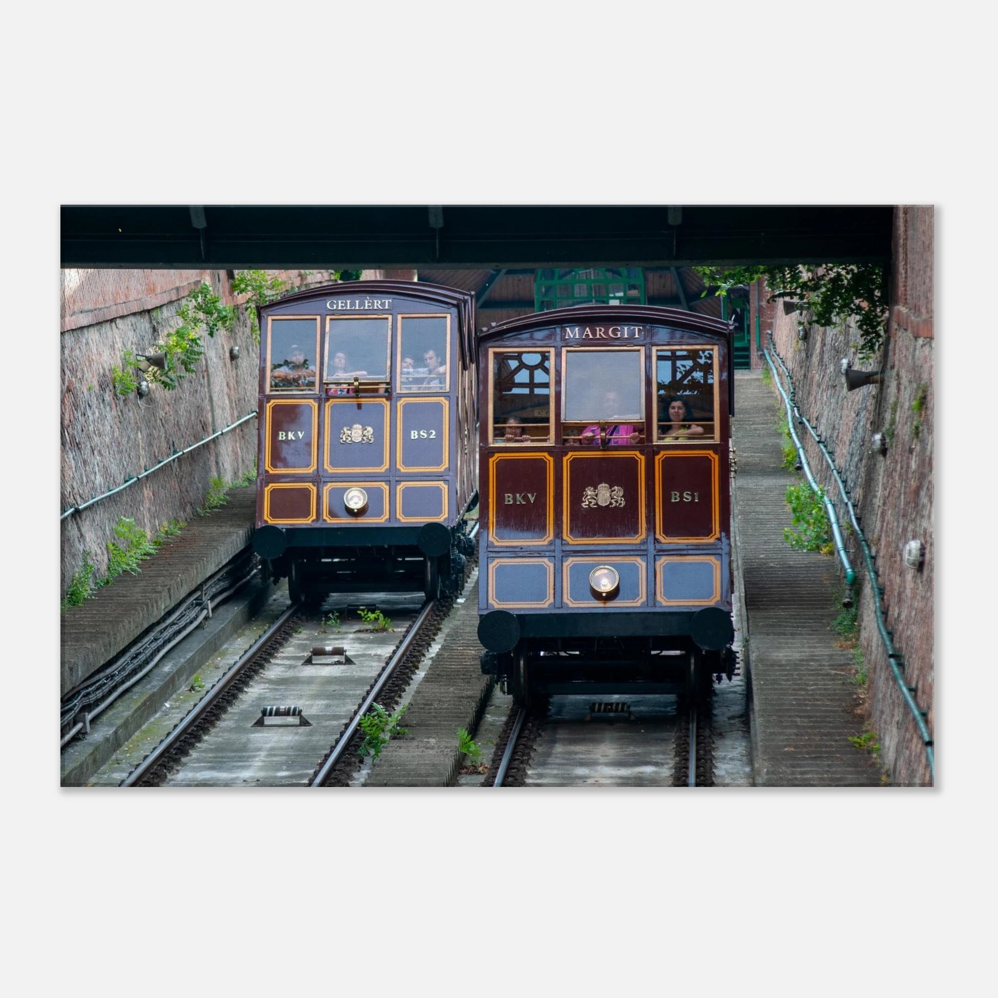 6f62bbfd-3d47-4100-a283-905563be75ca