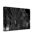 724467a8-432e-4e09-aef7-f25f5831808d