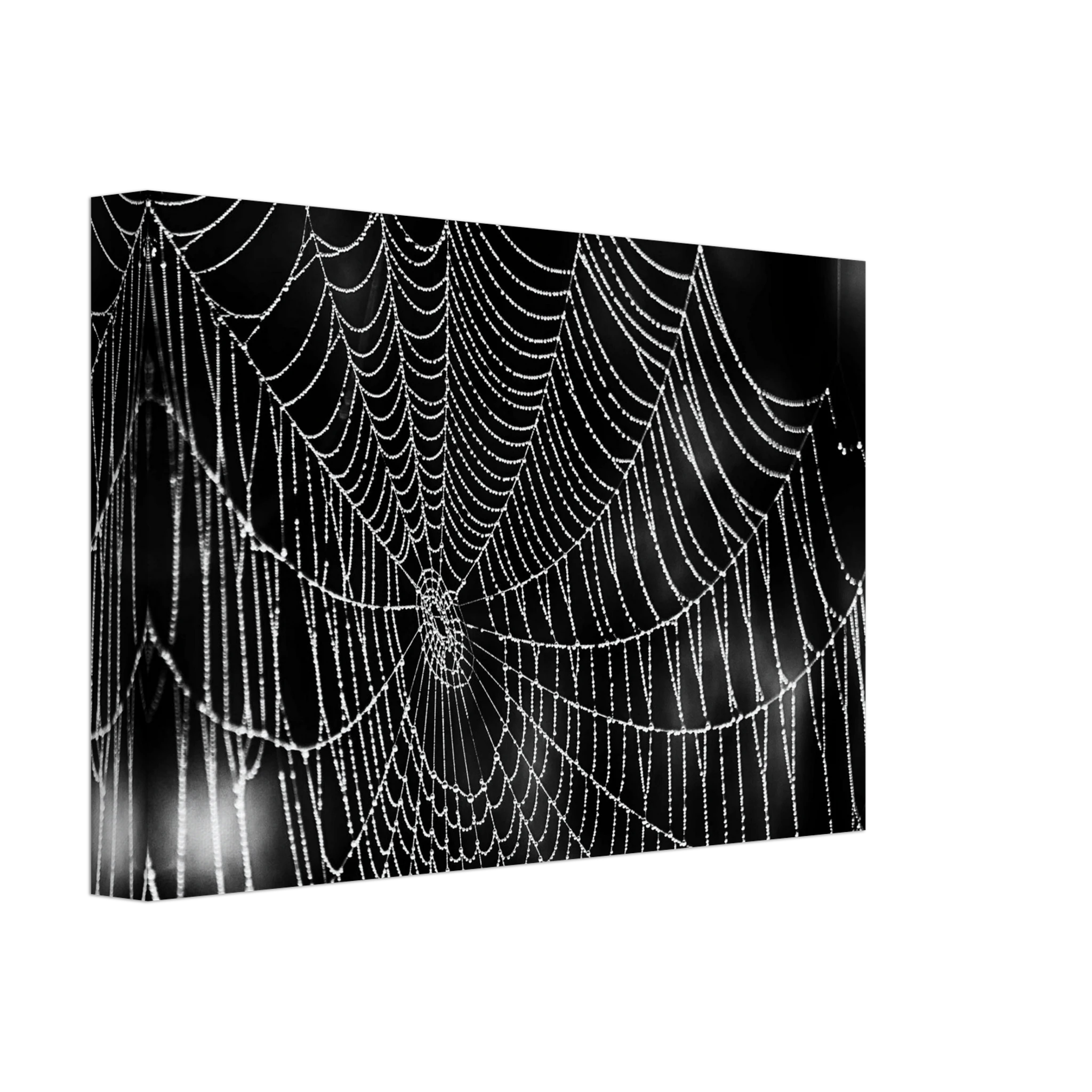 724467a8-432e-4e09-aef7-f25f5831808d