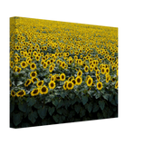 72650636-9336-4554-acf8-c27f84c3b111