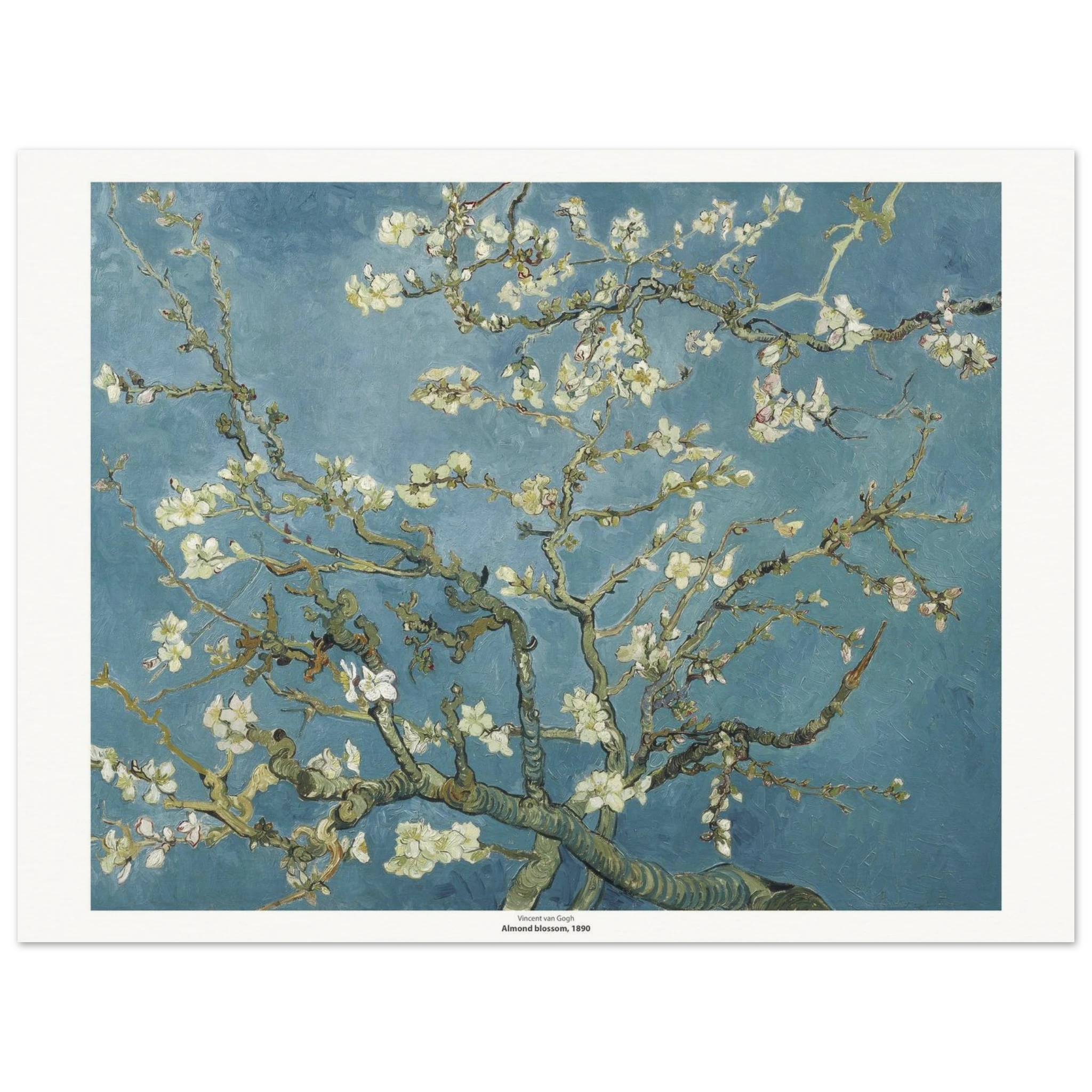 729eb364-a2bd-462b-bbd0-e2115154922f