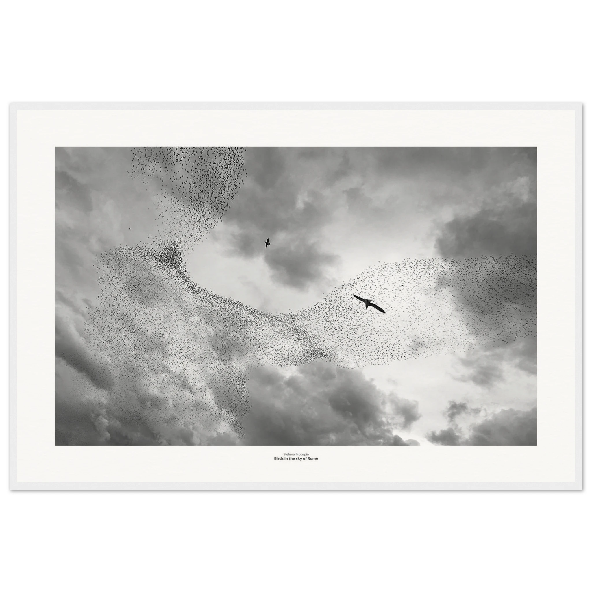 742927b1-30e8-465c-8342-0ae7be521f58