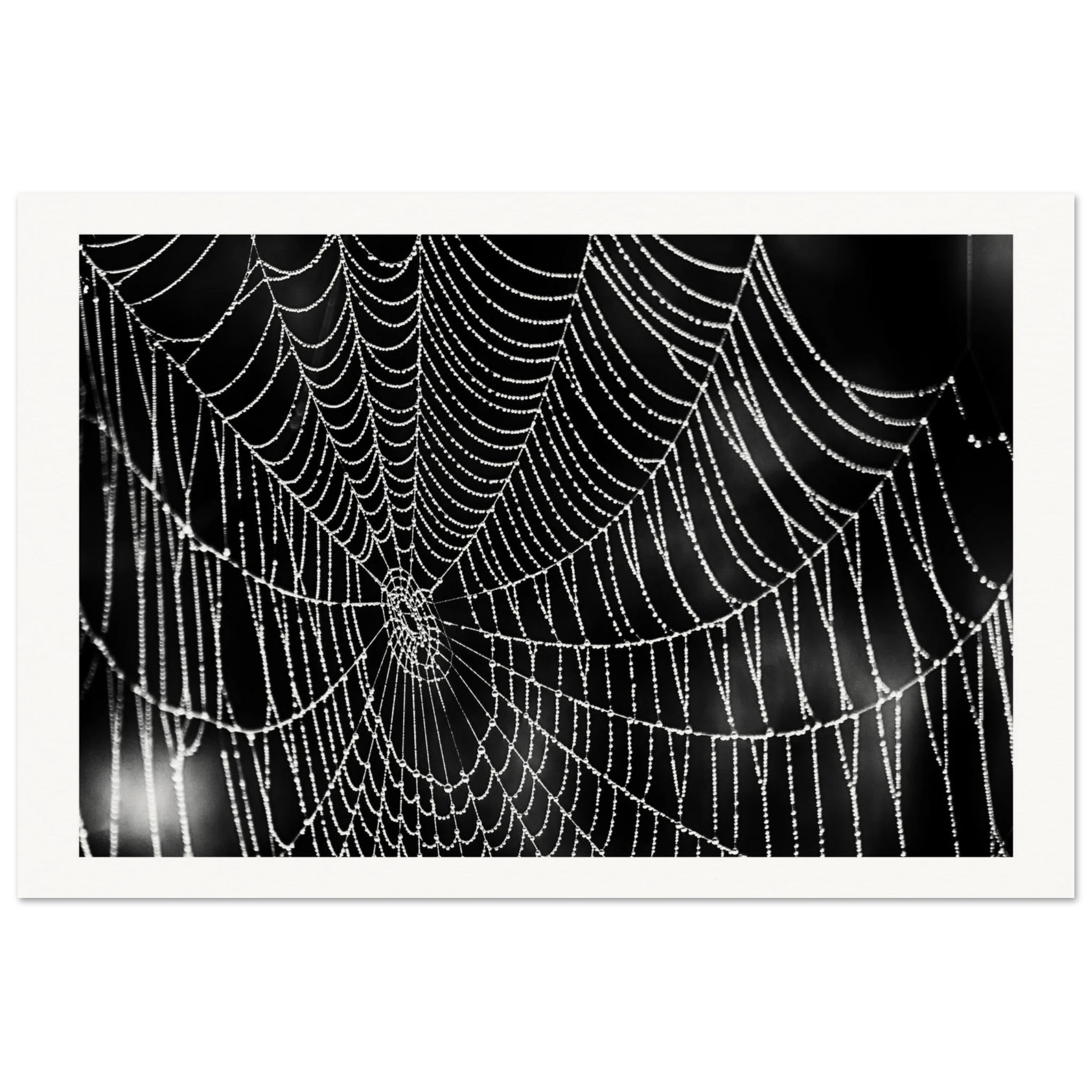 75161fce-2f46-45eb-9541-9863489c56d5