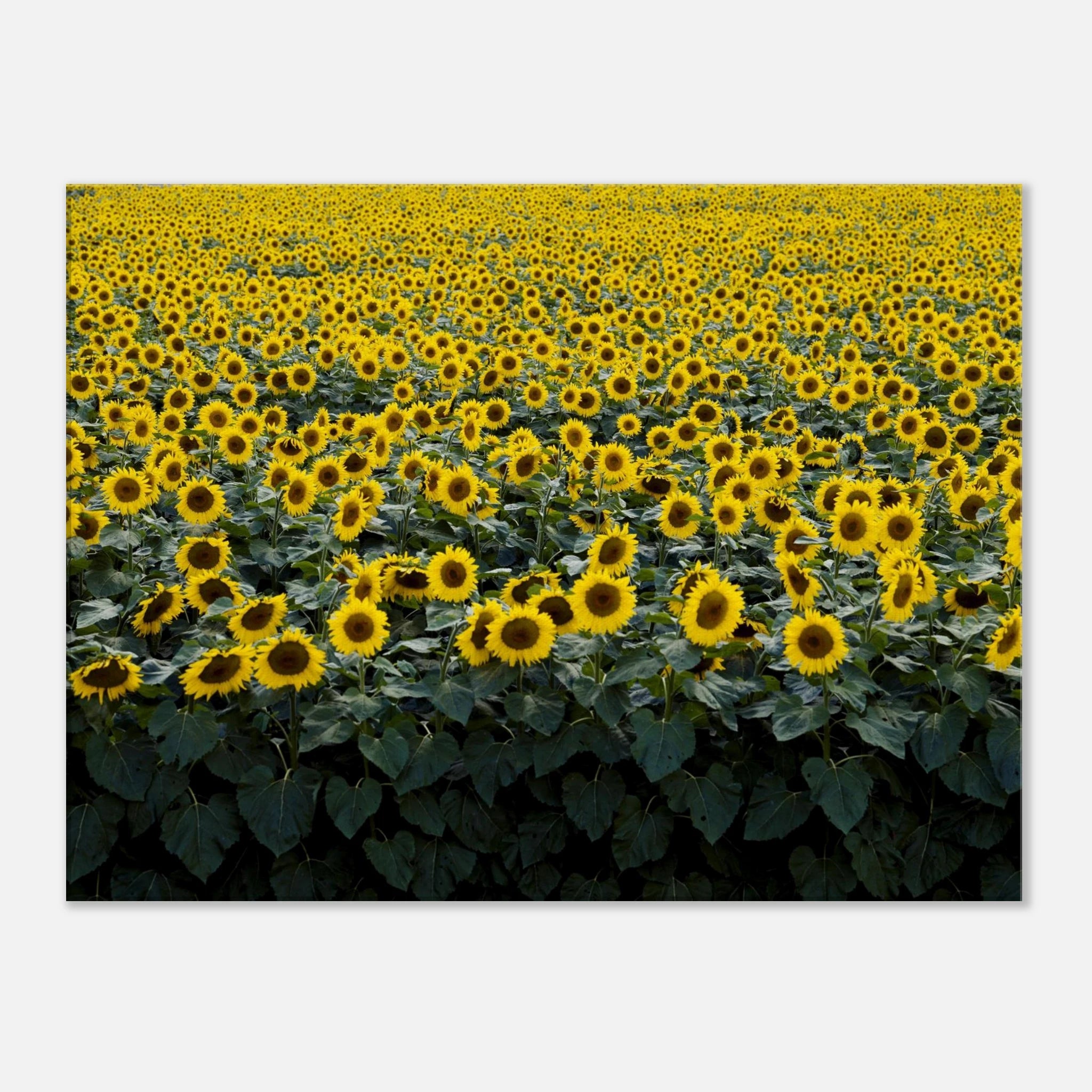 7589c3cb-c407-4c19-93f5-c2c1b723fcac