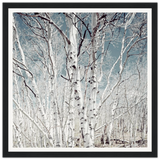 75b7bf64-6fc9-4d7f-acaf-3174d6ea0af5