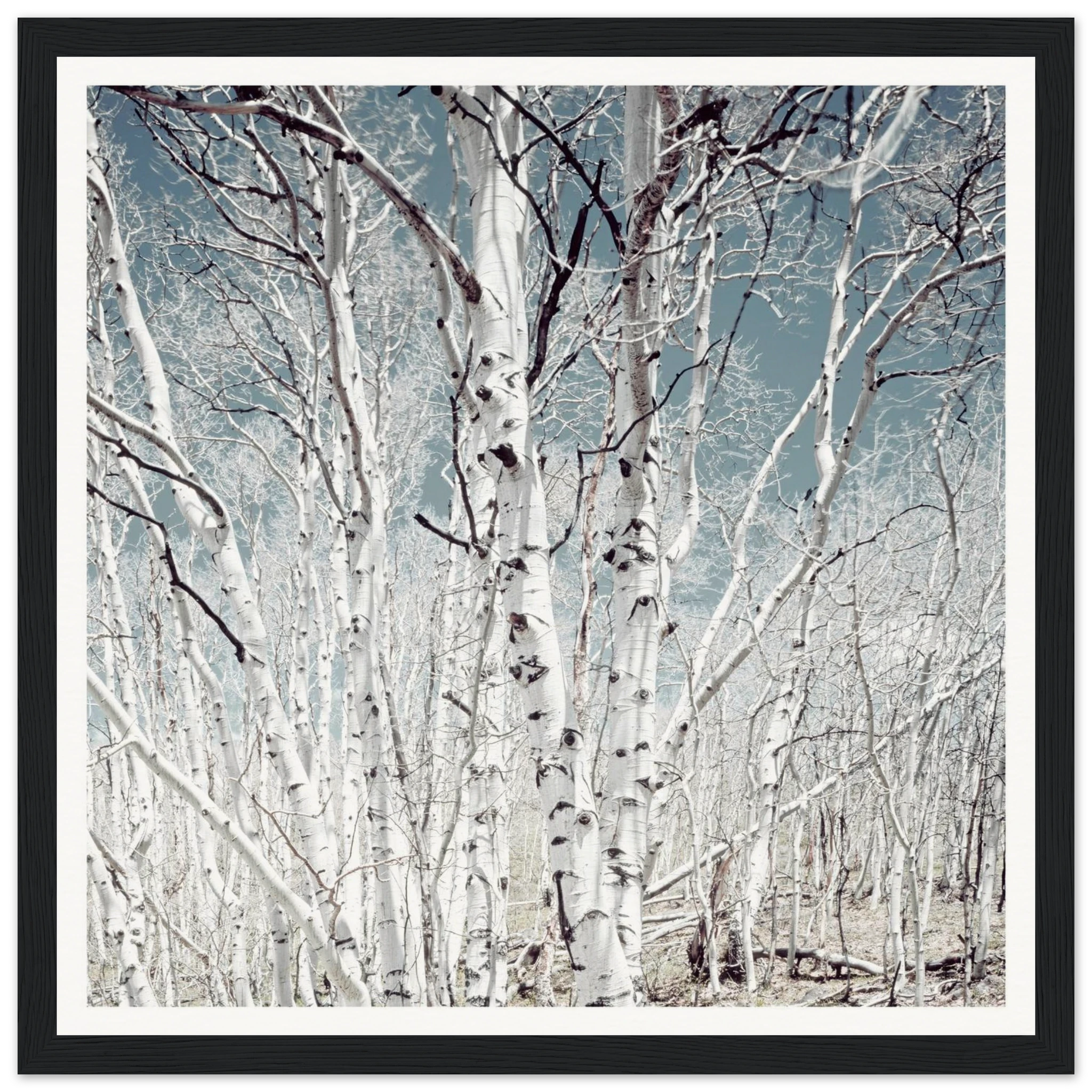 75b7bf64-6fc9-4d7f-acaf-3174d6ea0af5