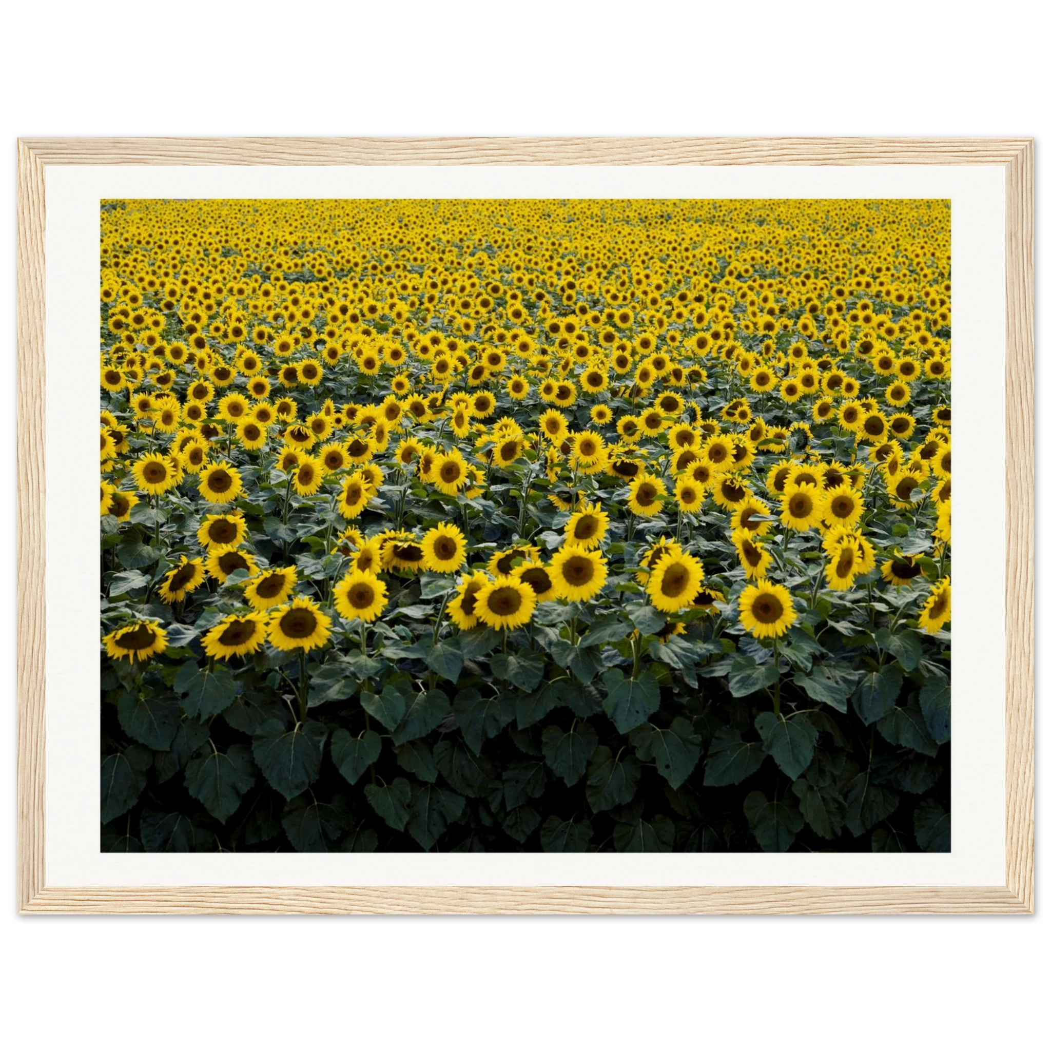 7ca08d4d-d08a-4cb1-b3ff-90d65dde1cbf