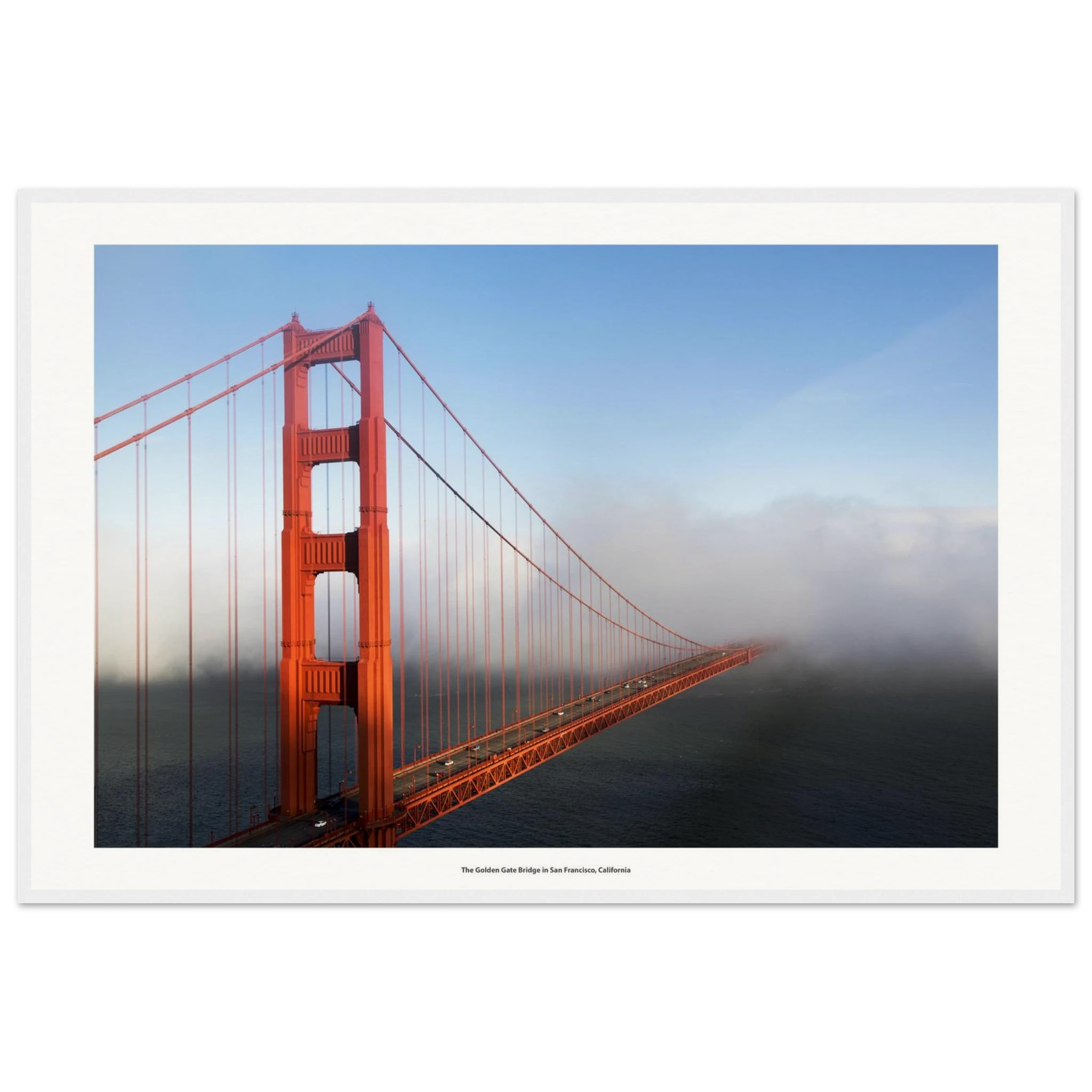 851802c2-6519-4f13-973a-03ee447bc40f