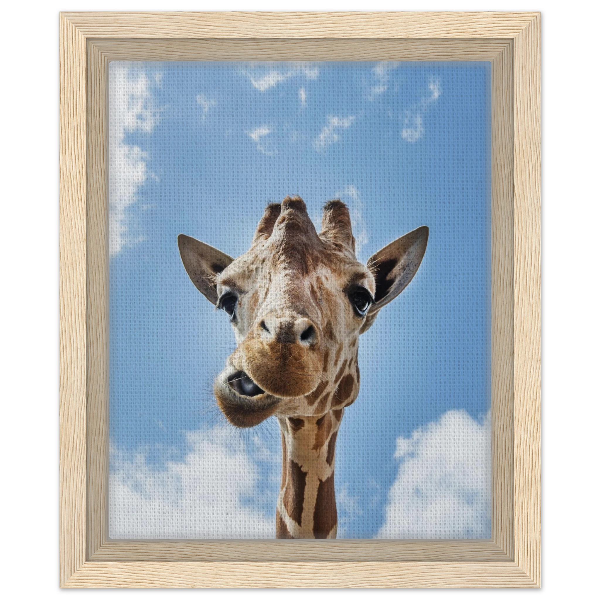 86899bd3-06bf-47cb-9153-f52922d38ff3