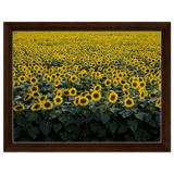 8822e845-012a-4db0-bae1-4ed9990280ab