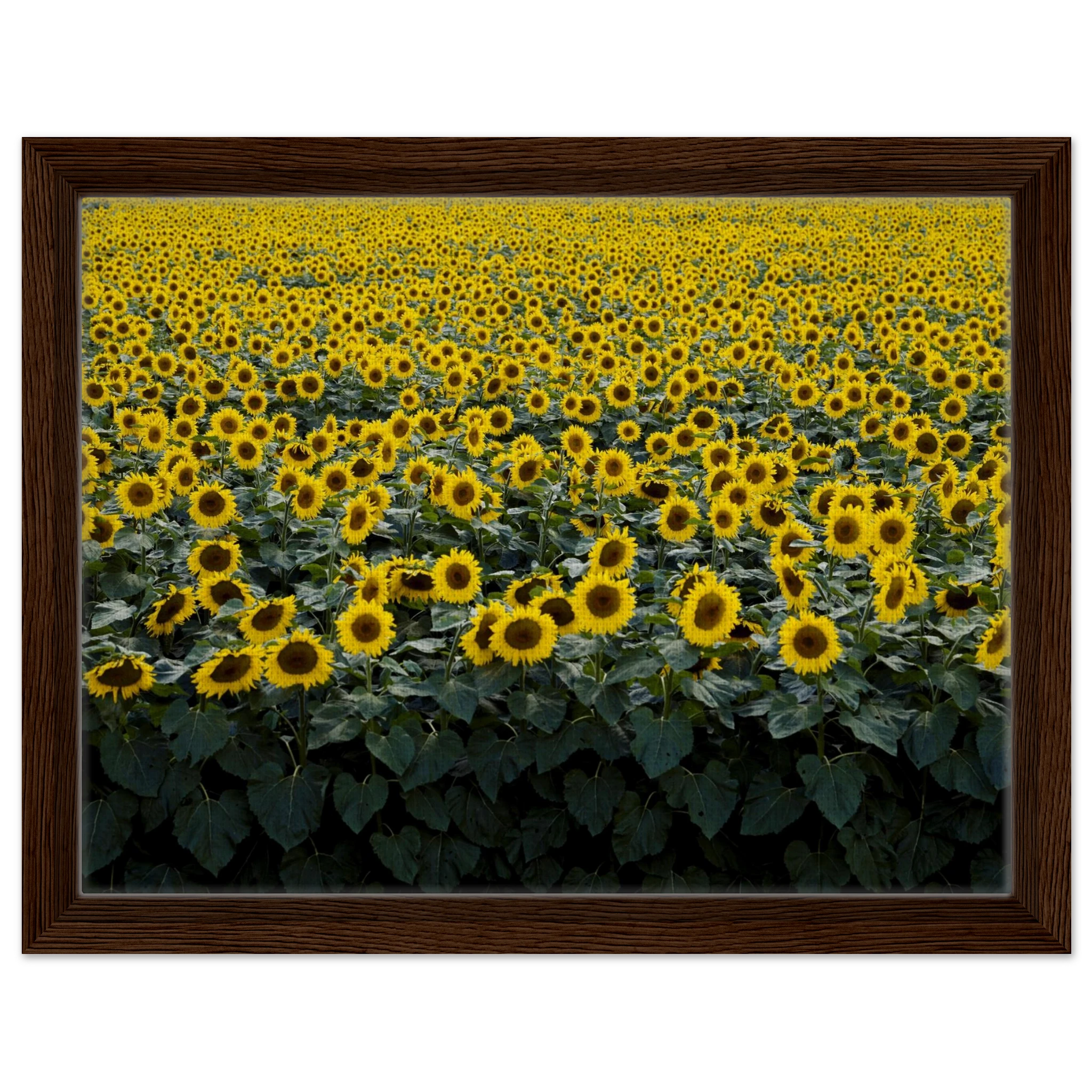 8822e845-012a-4db0-bae1-4ed9990280ab