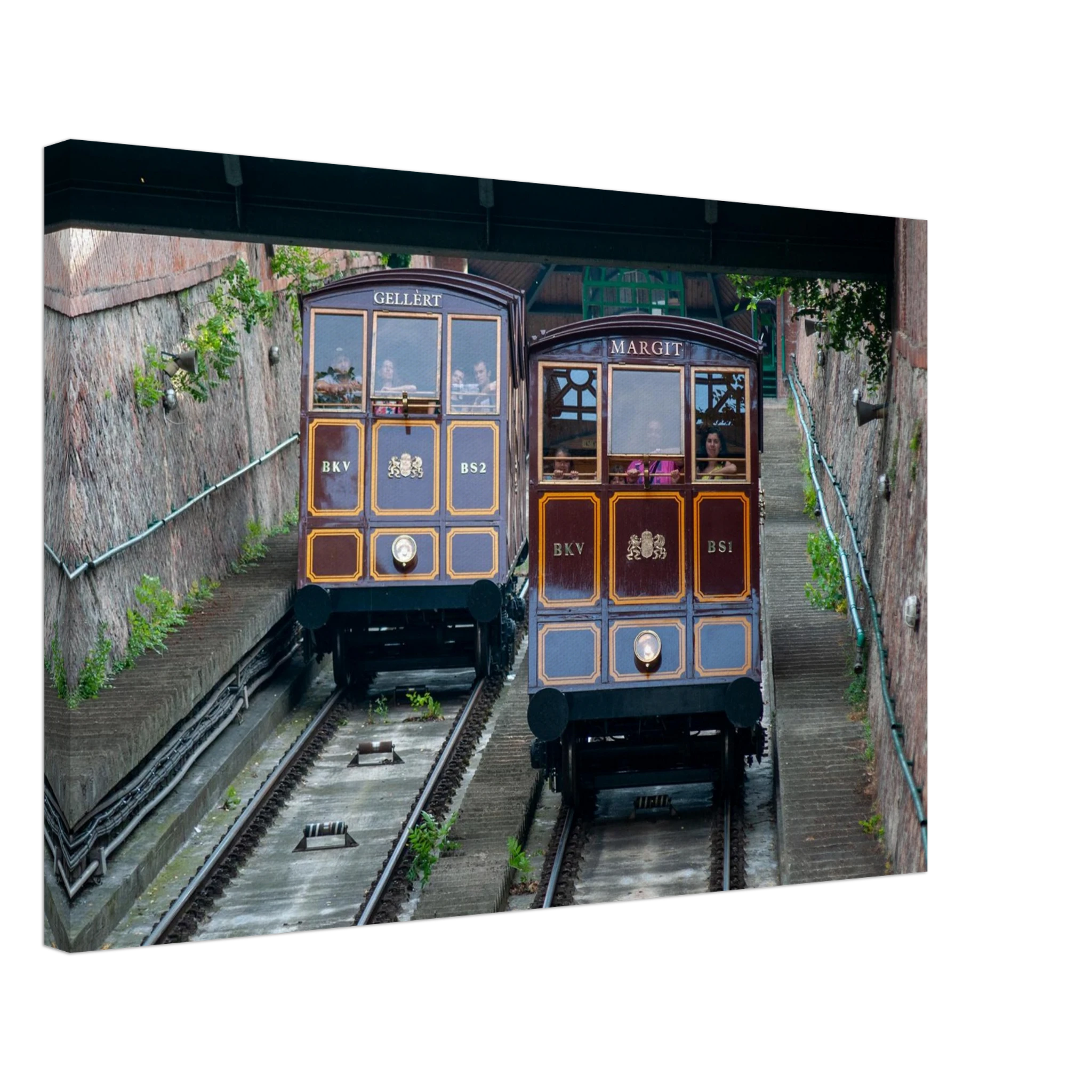 8b349c25-1ebb-4f2d-8a07-8992a4f3fd92