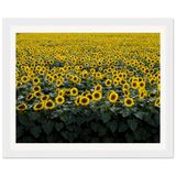 8dbf0980-cd09-4c95-ad21-54daf286da8f