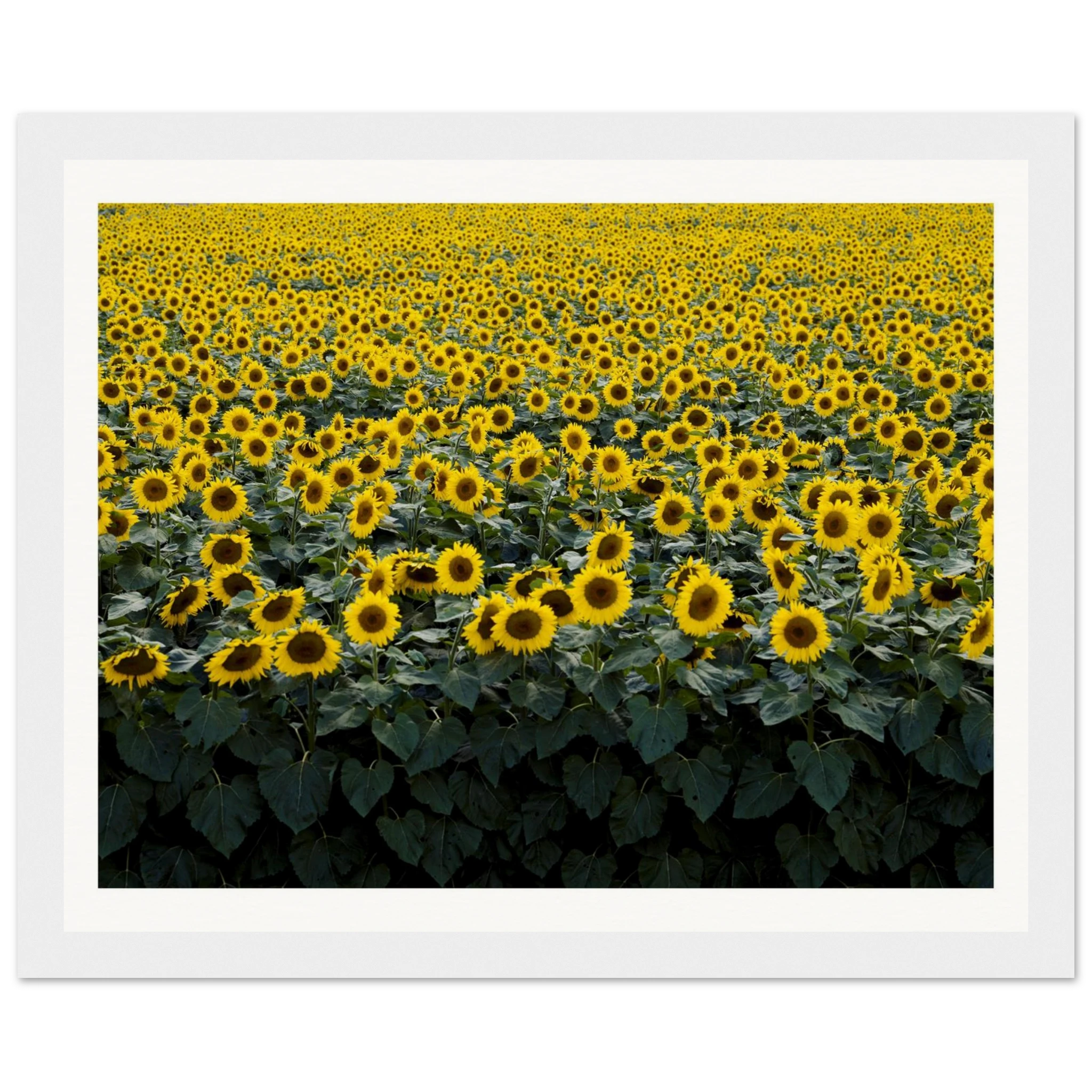 8dbf0980-cd09-4c95-ad21-54daf286da8f