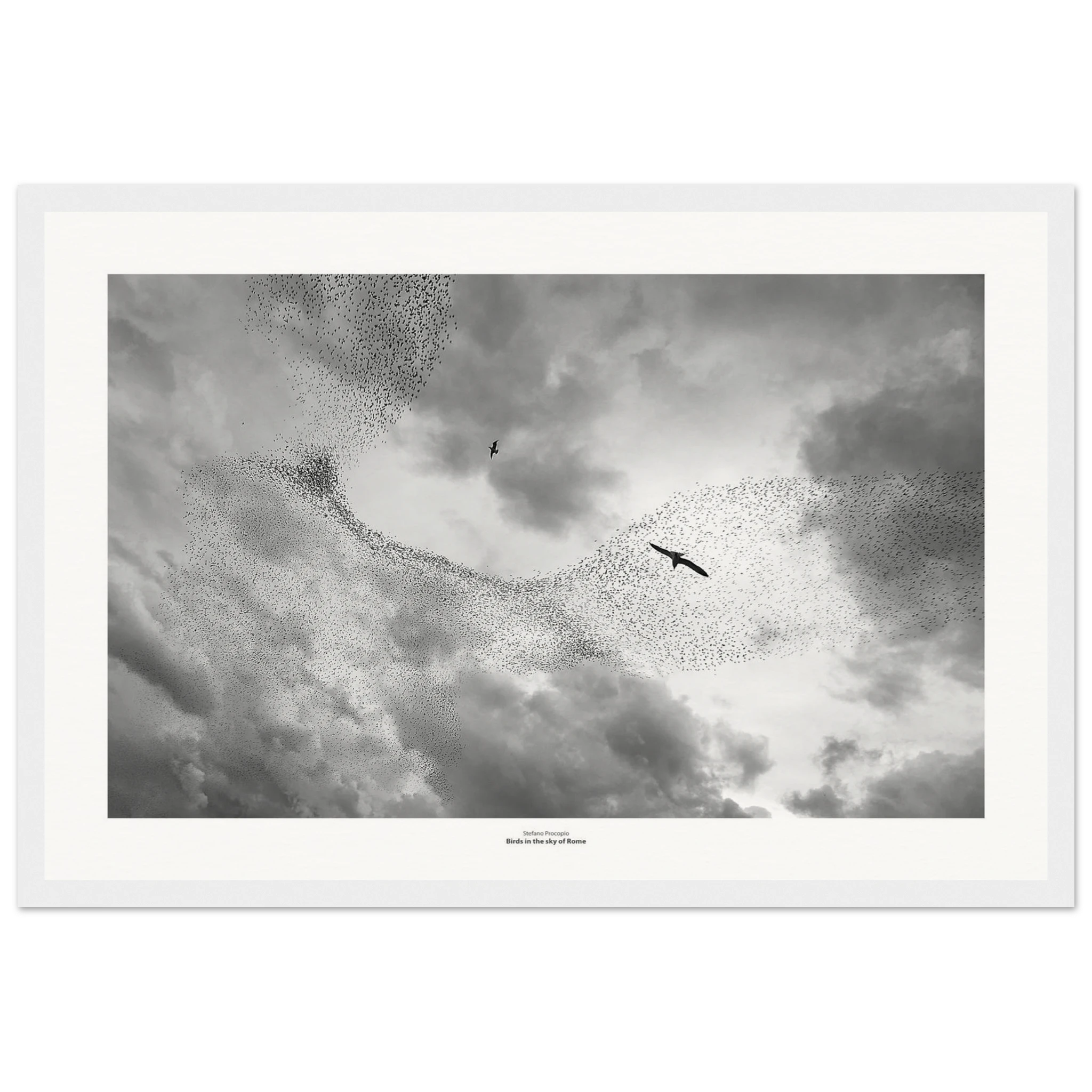 90546f3f-5ac5-4836-9f43-c593dedd2eec