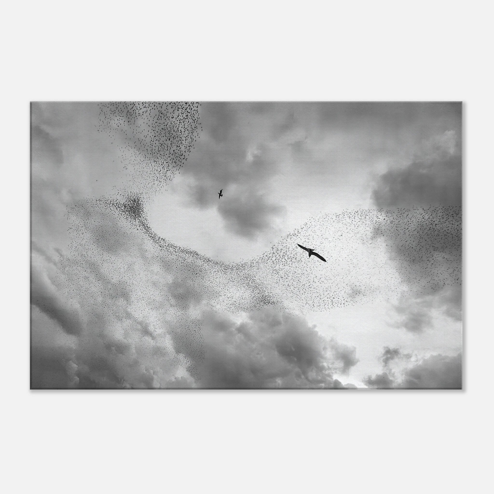 90db23da-381b-4885-9da3-cc87e75189d8