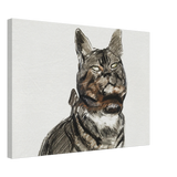 92988654-8ff0-47e0-ad58-0179f46b126f