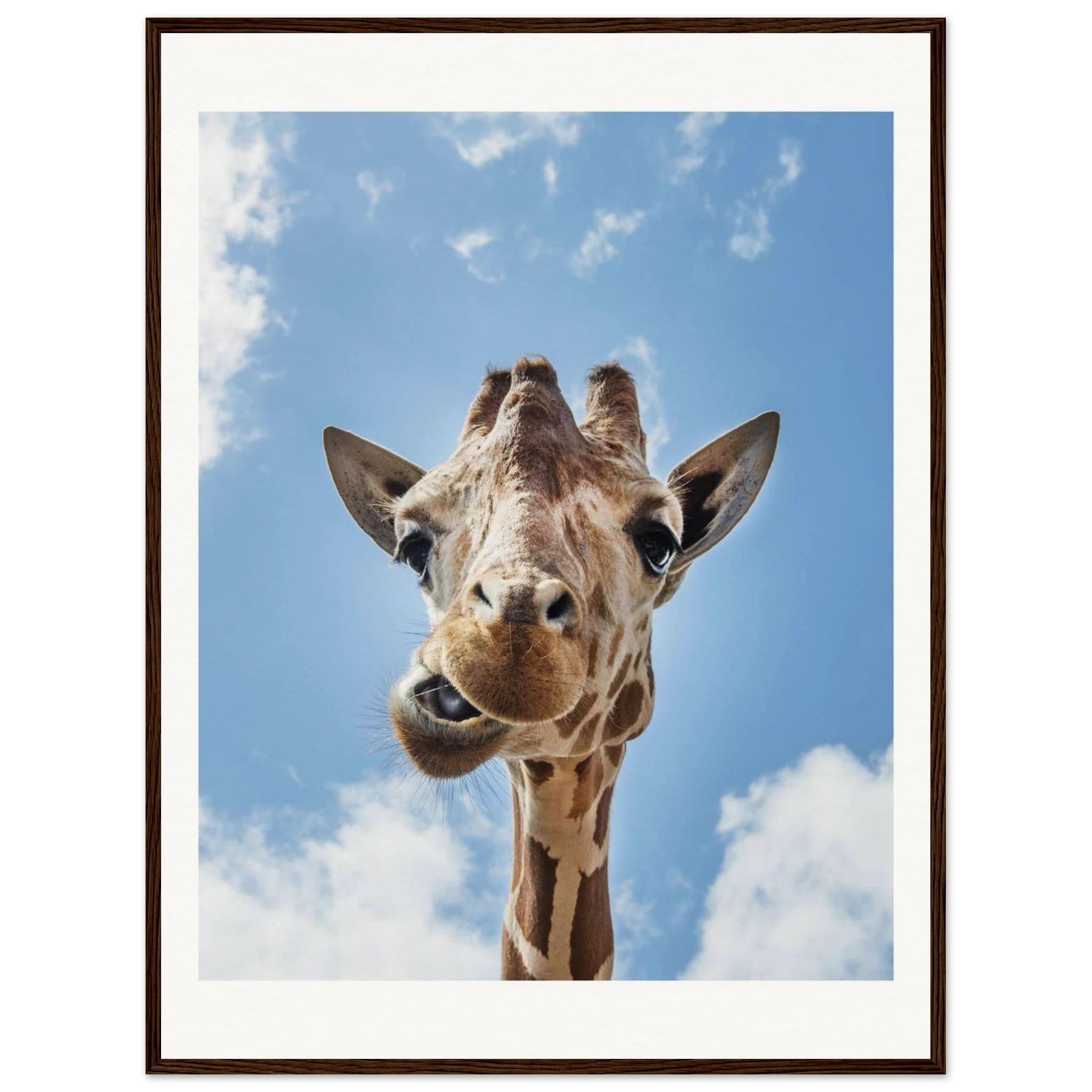 969e0448-7769-4fd6-880b-ca198b3354bc