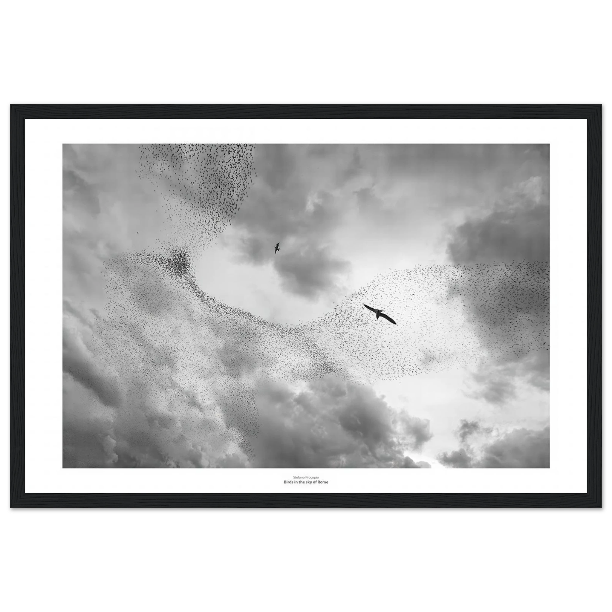 96ab3322-9b76-4b36-848d-8b7b5f145919