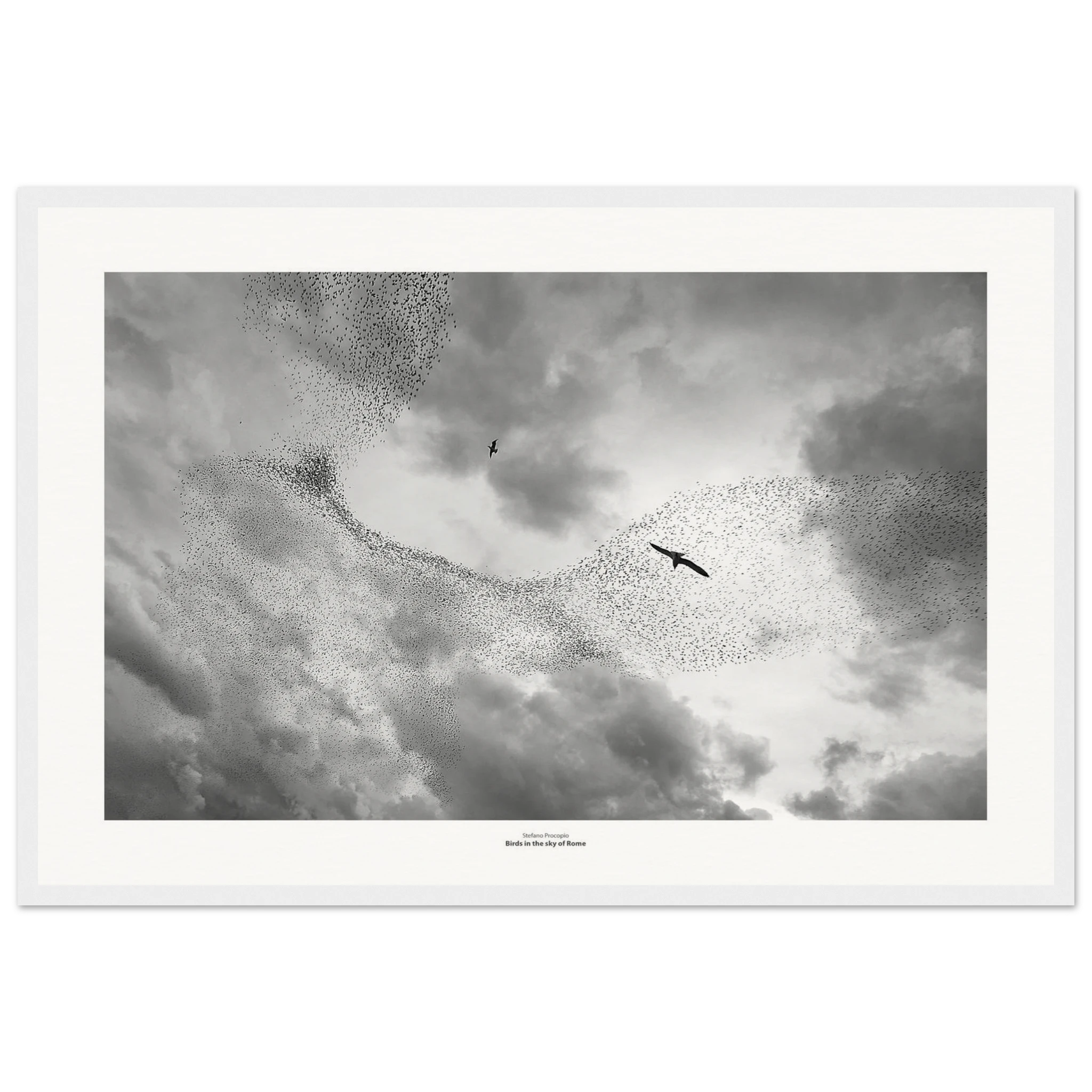 970d0040-da66-47d7-910b-453eb6a637da