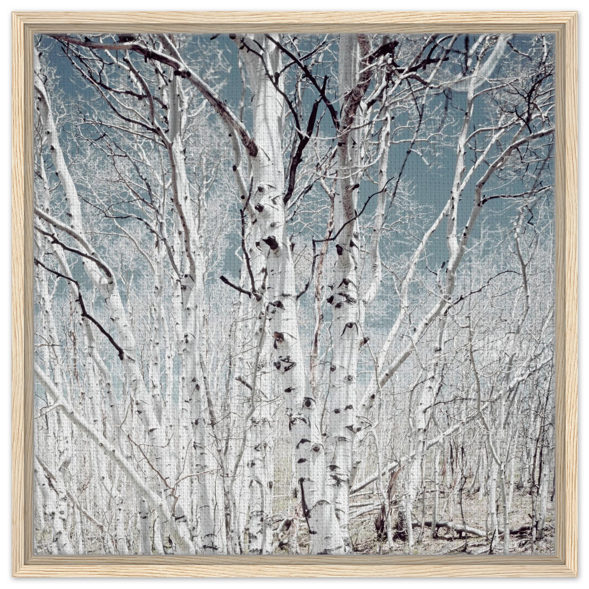 9a058288-5fb2-4a77-b400-35f0ce60b0a0