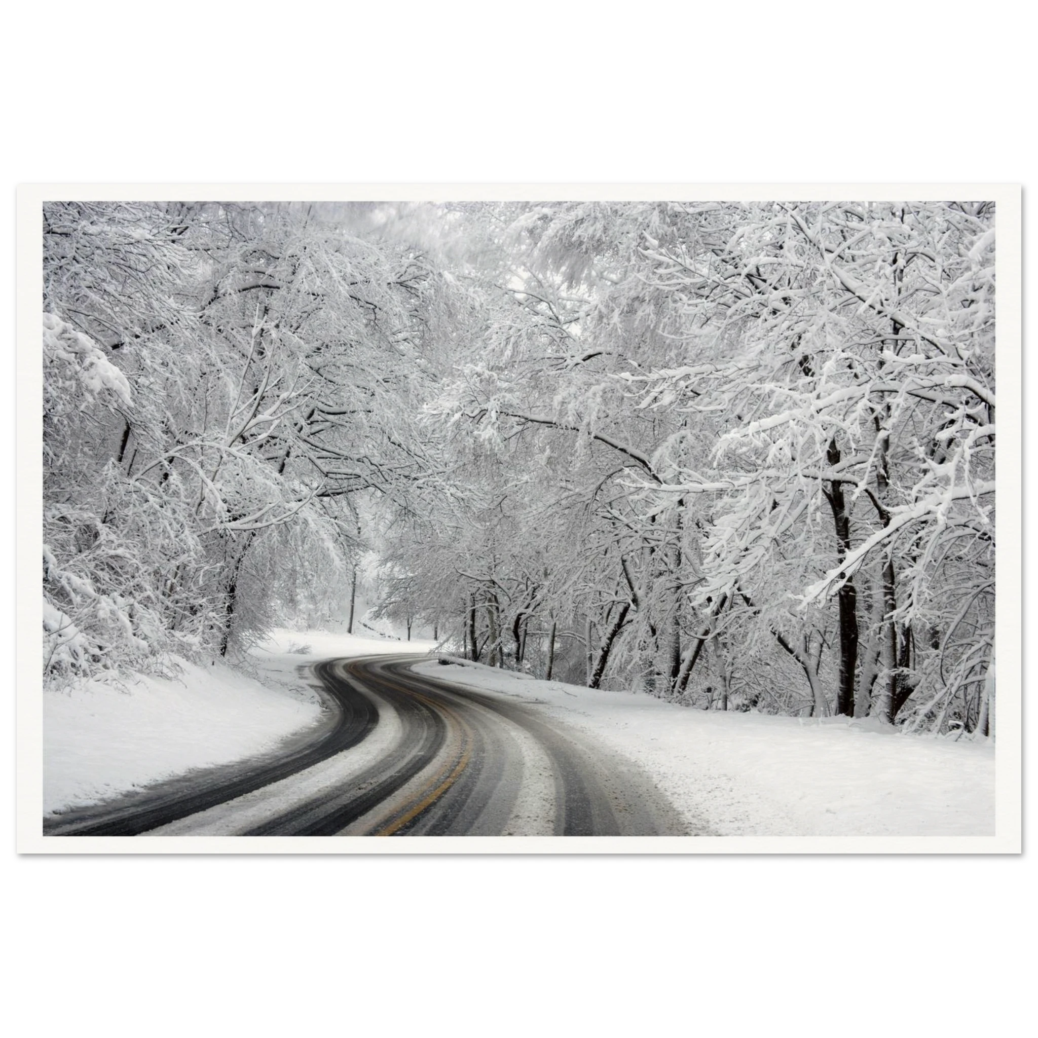 9d760229-ff35-4e90-a825-93251c451ae2